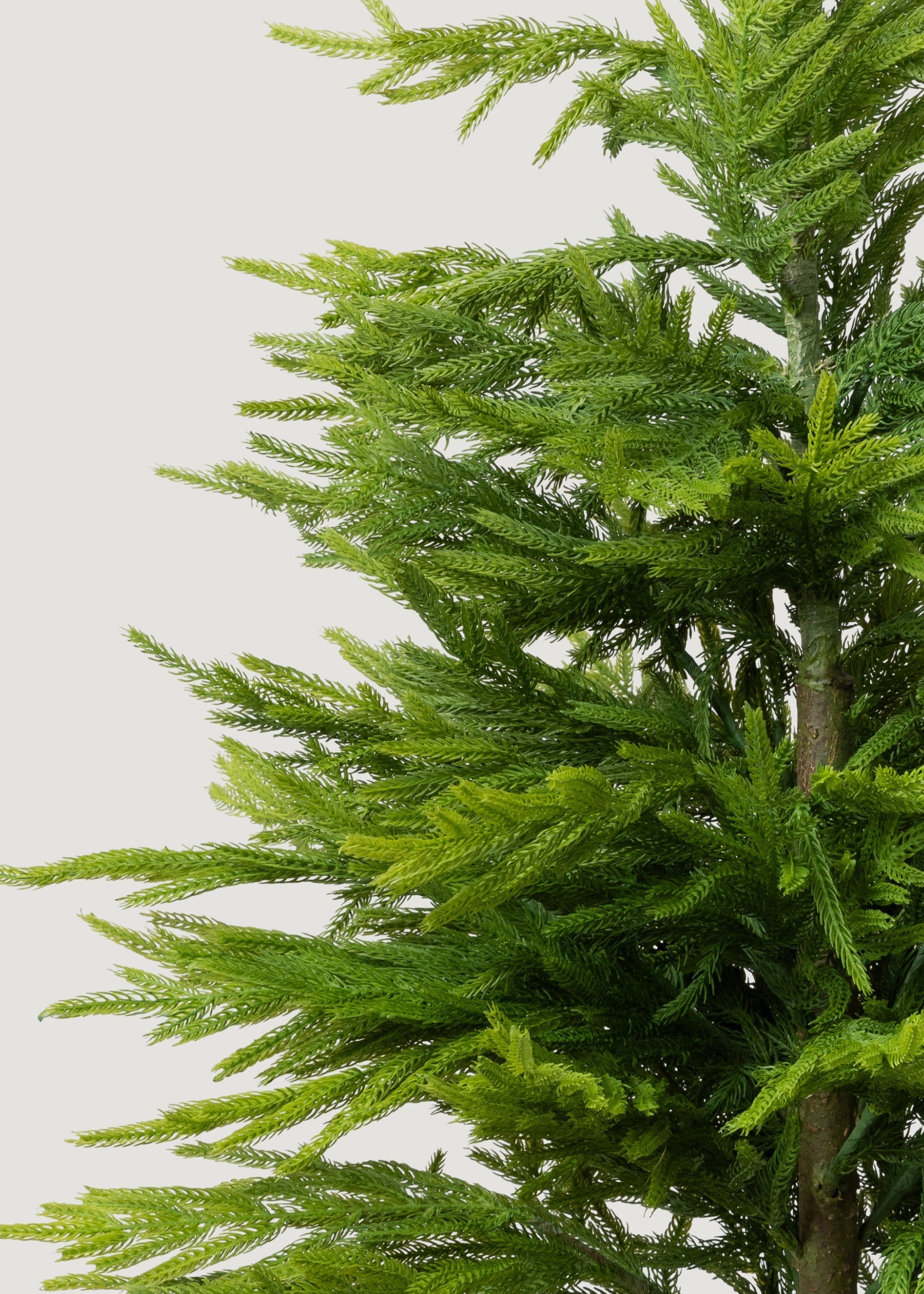 Tall faux Norfolk pine tree for holiday entryway styling