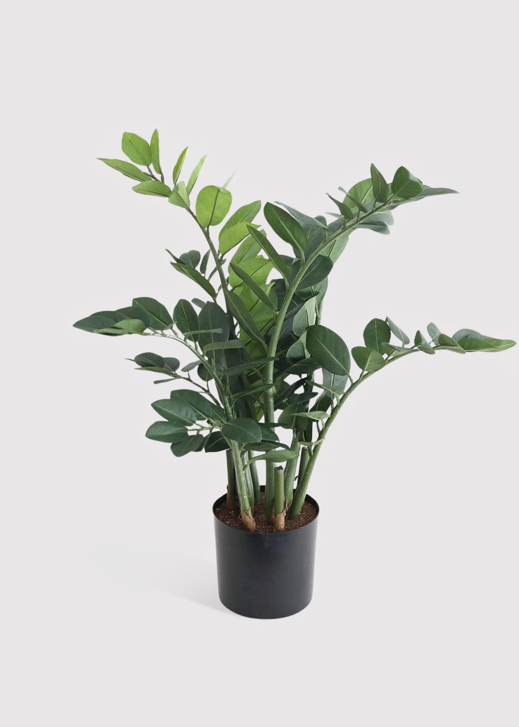 Green Artificial Uv Resistant Outdoor Potted Zz for Vase Styling