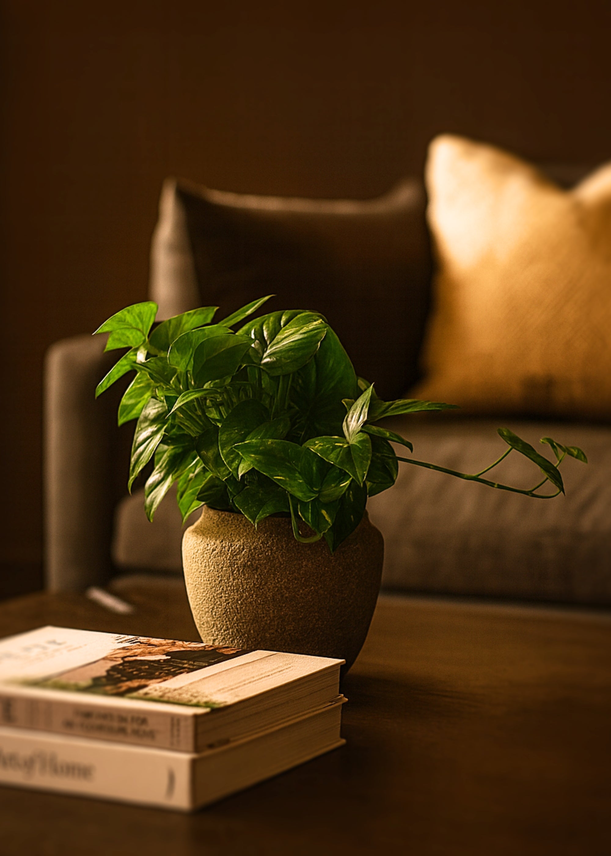 Green Artificial Pothos Hanging for Home Decor
