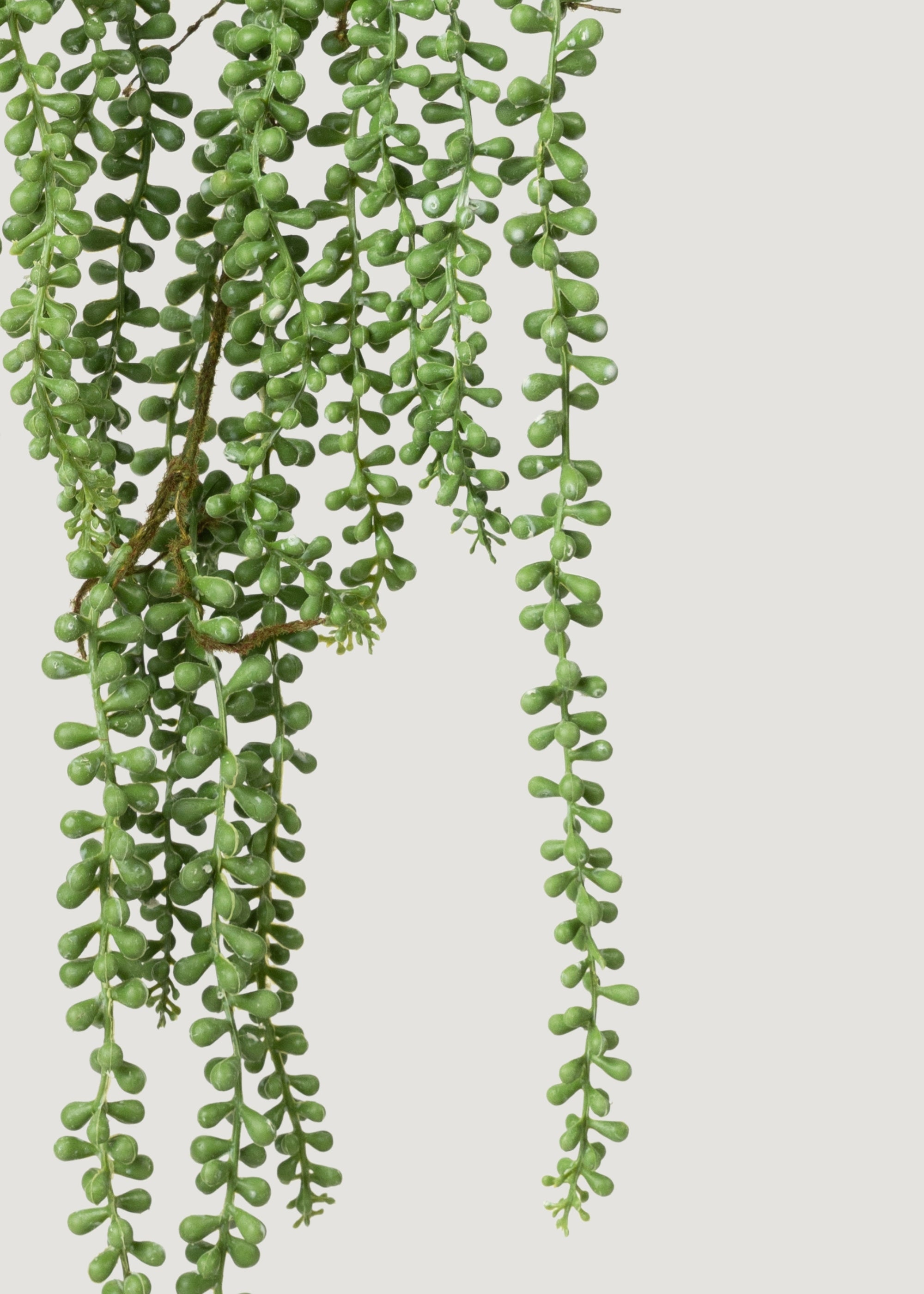 Green Artificial Succulent Stem for Table Centerpiece