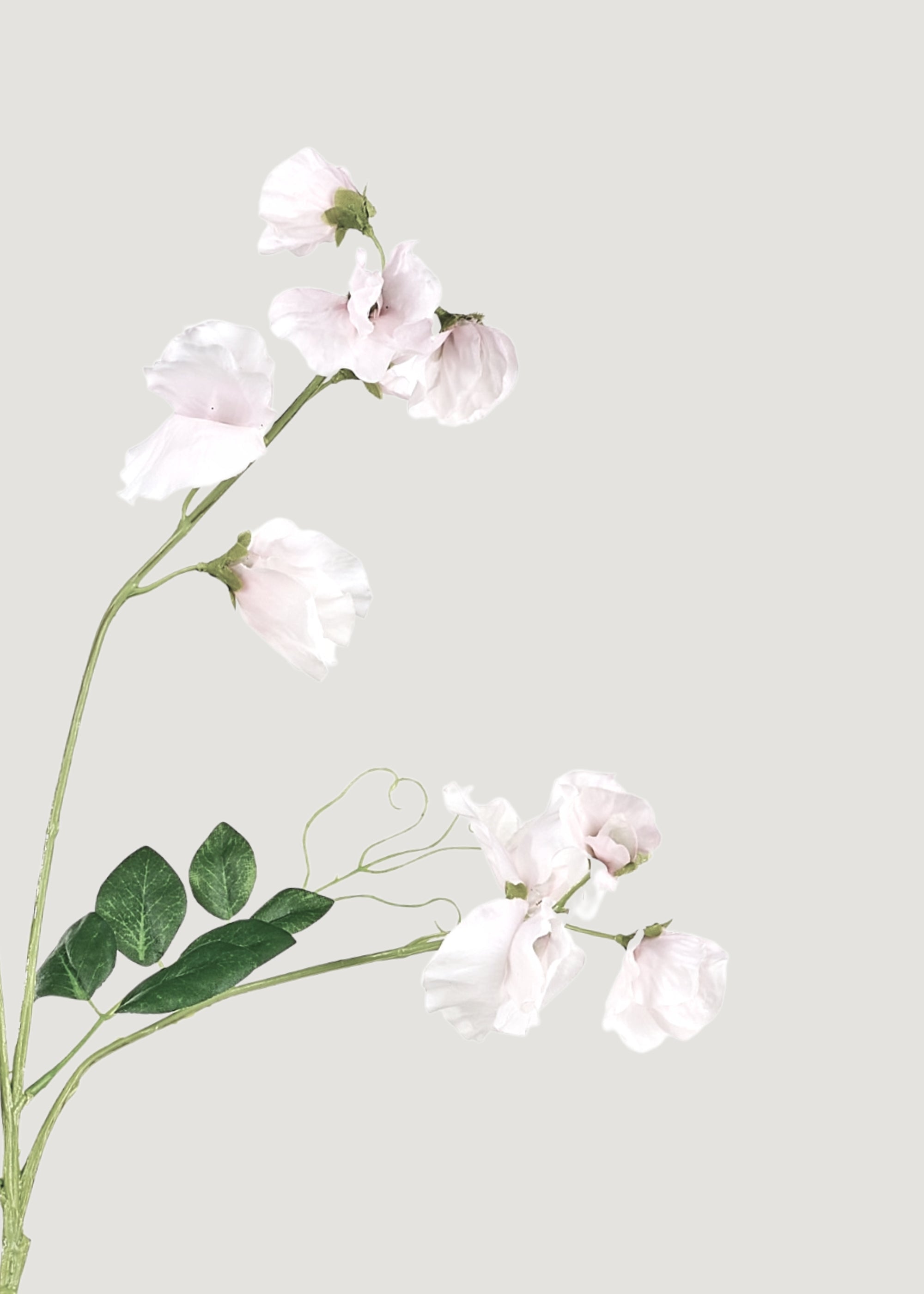Cream Artificial Sweet Pea Wildflowers for Home Decor