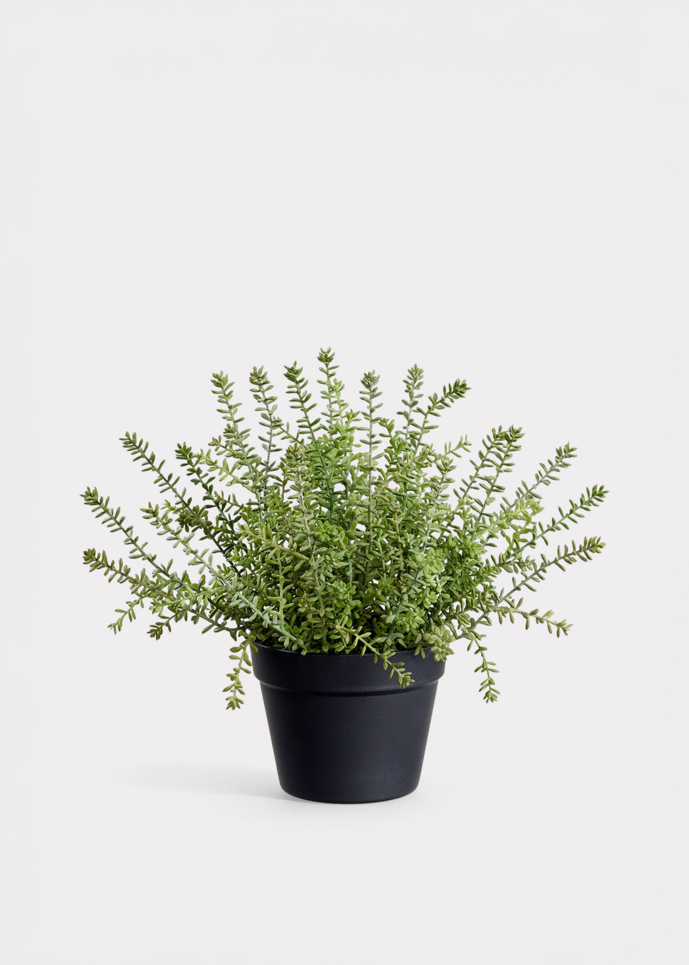 Green Artificial Succulent Potted Plant for Vase Styling
