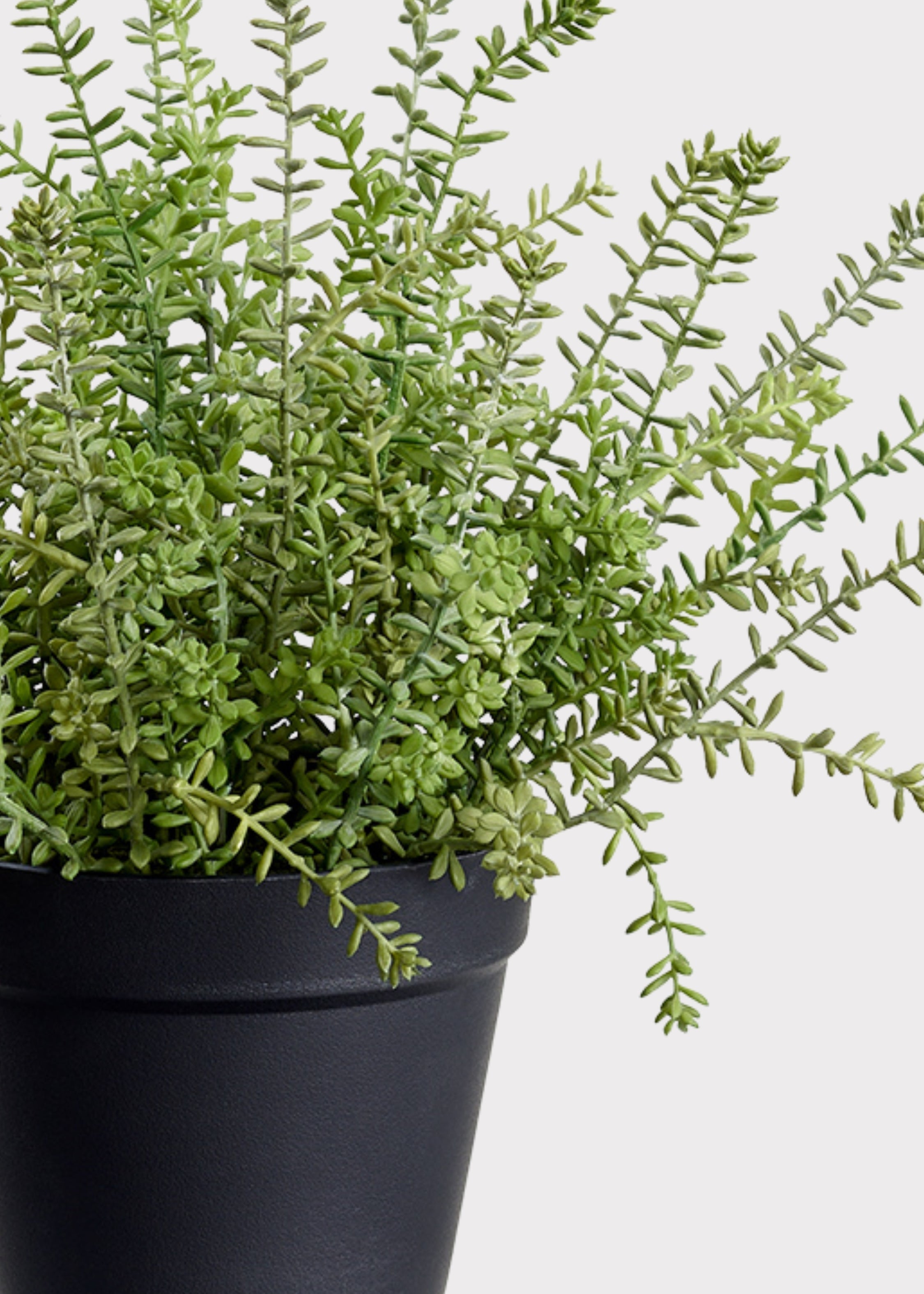 Green Artificial Succulent Potted Plant for Home Decor
