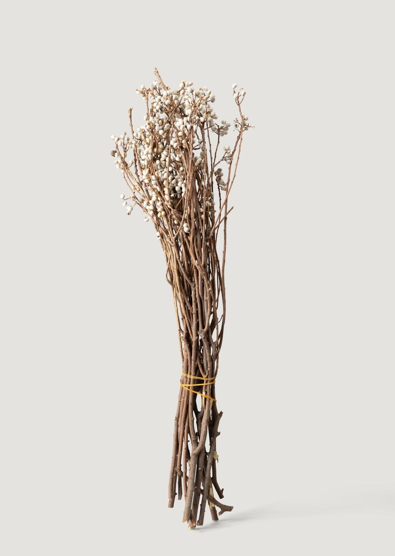 Natural Dried Berry Bundle for Vase Styling