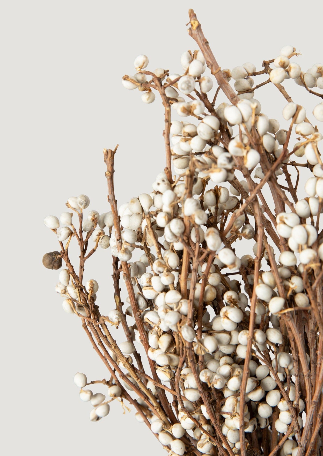 Natural Dried Berry Bundle for Table Centerpiece