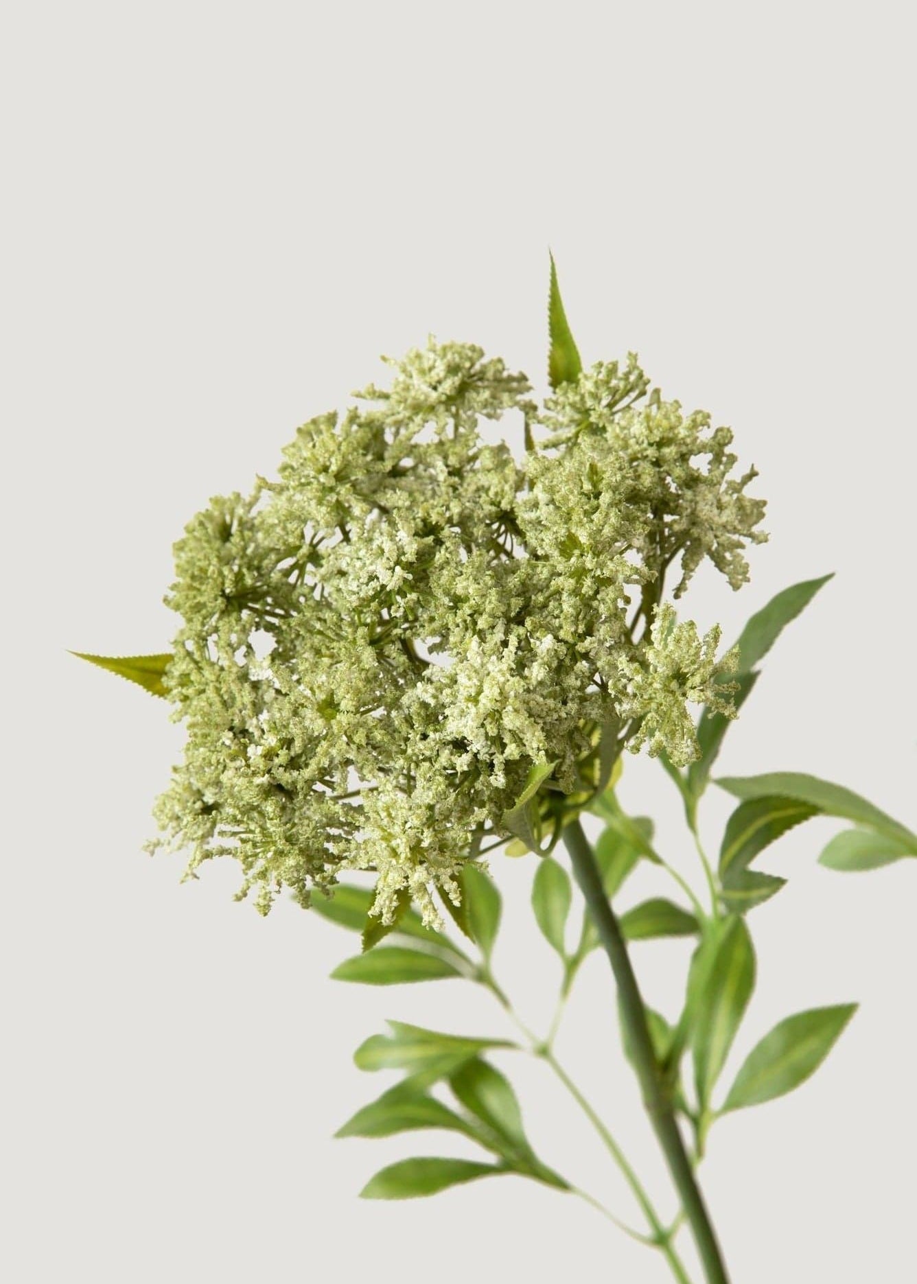 White Artificial Queen Anne's Lace Stem for Wedding Decor