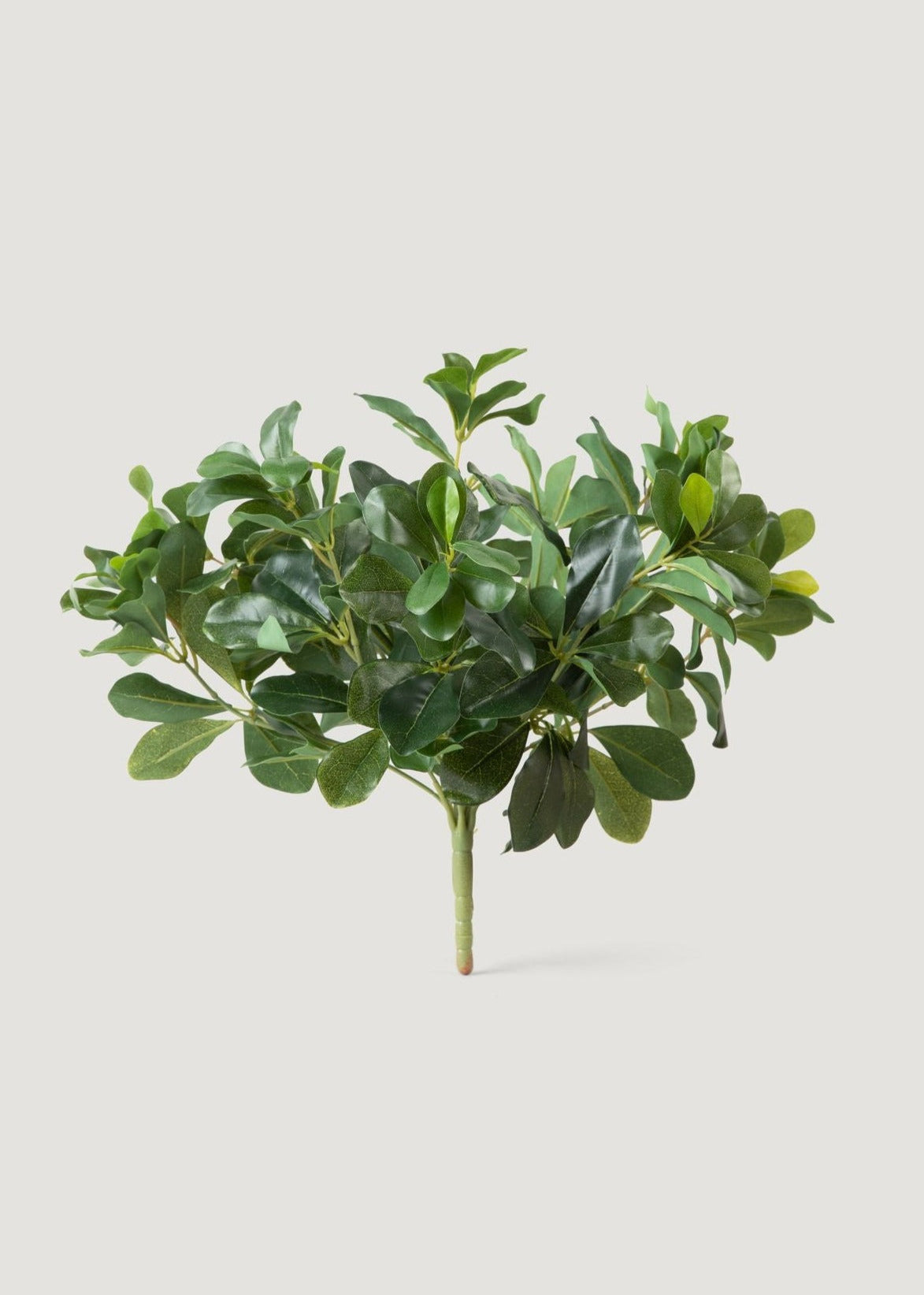 Natural Green Artificial Privet Stem for Vase Styling