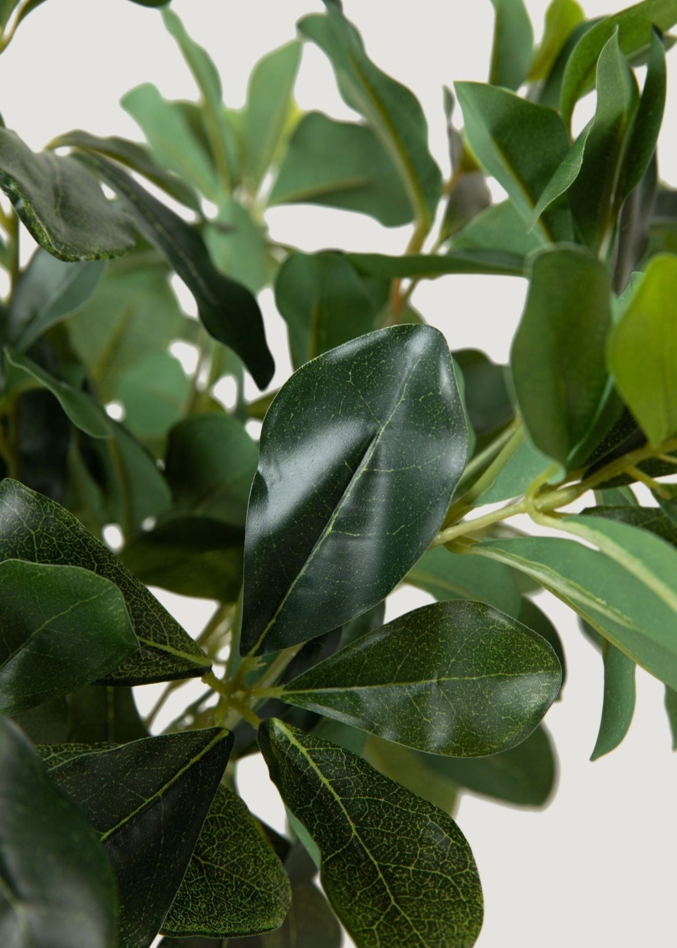 Natural Green Artificial Privet Stem for Wedding Decor