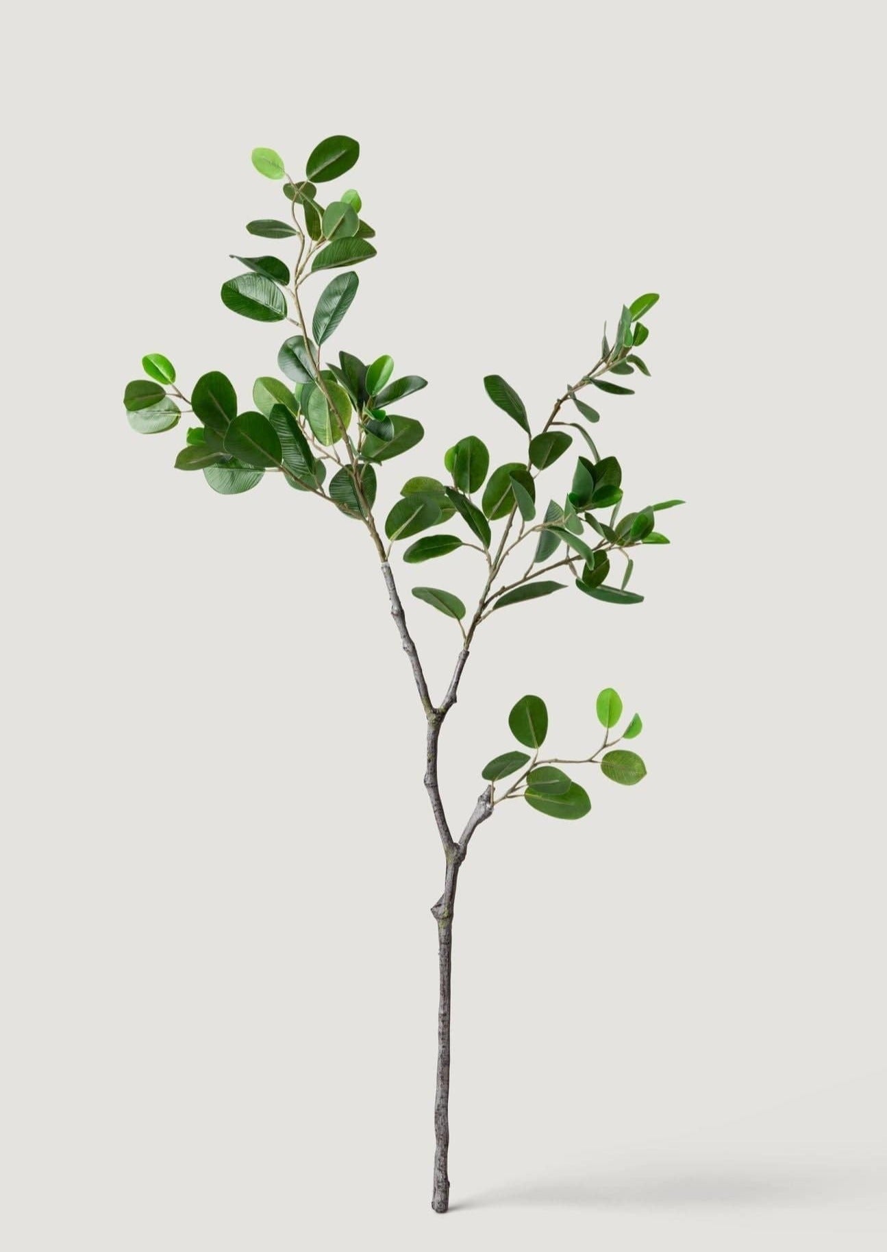 Green Artificial Italian Ficus Branch for Vase Styling