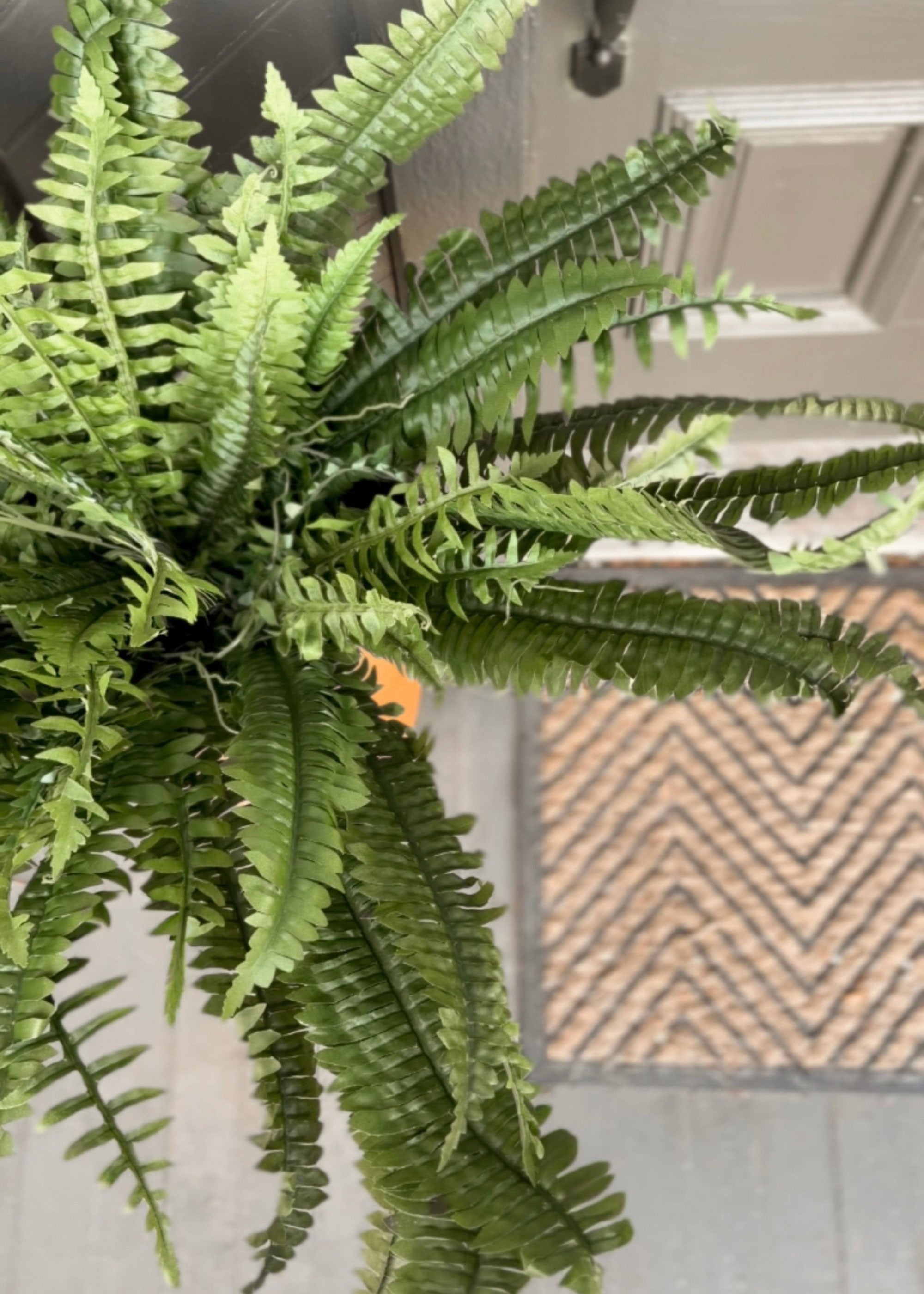 Green Artificial Fern Bush for Entryway Arrangement