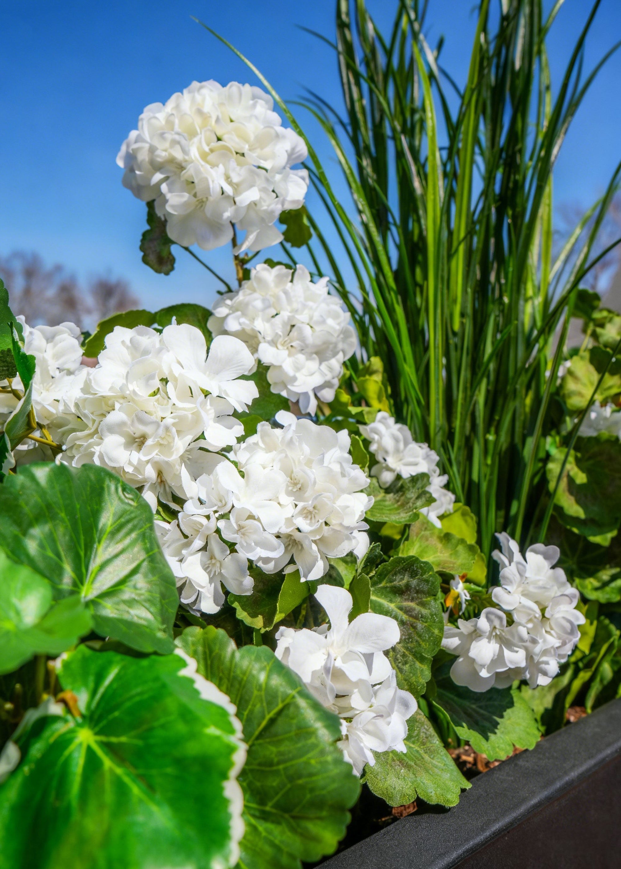 Artificial Geranium Bush for Table Centerpiece
