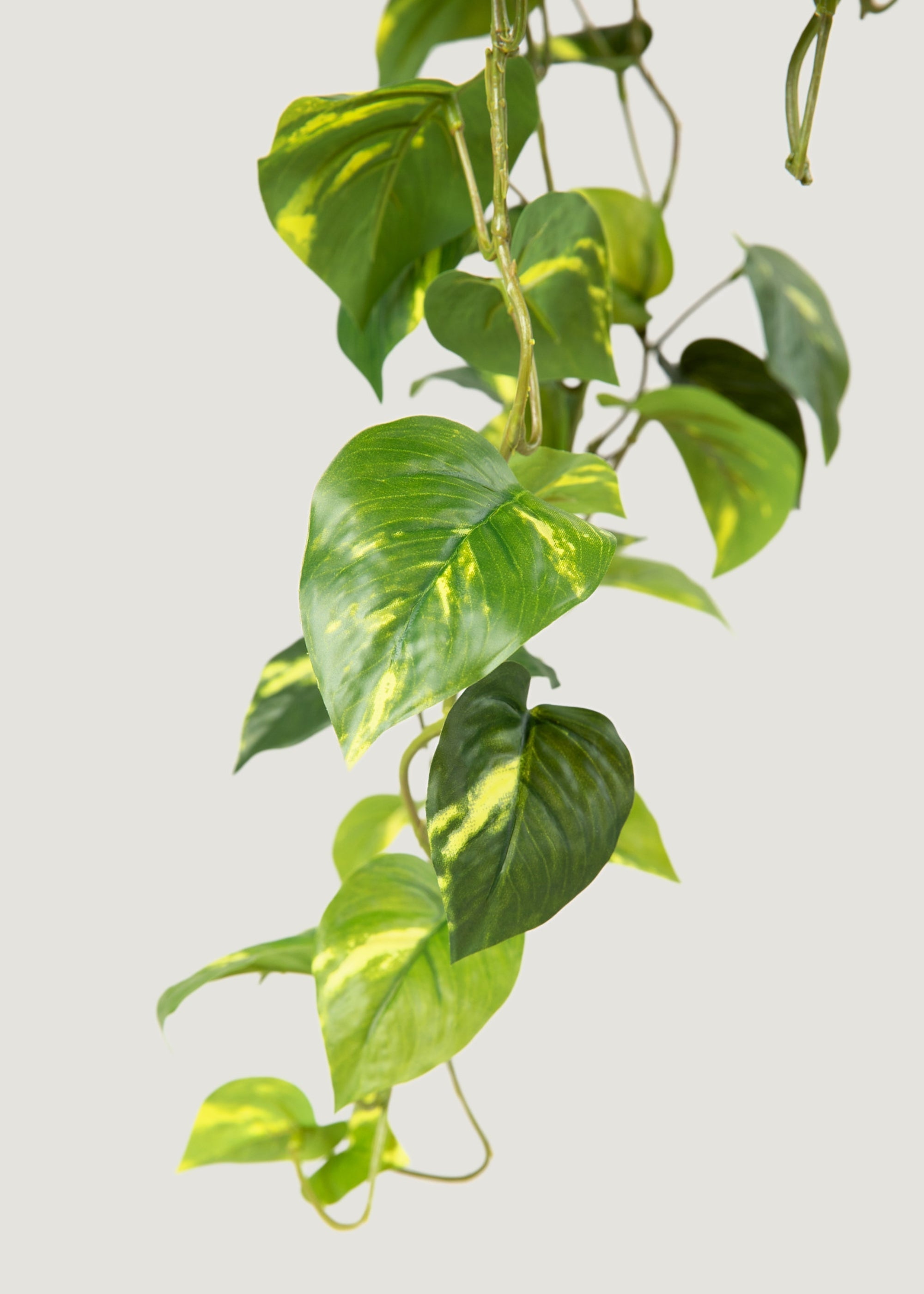 Green Artificial Deluxe Real Touch Pothos Hanging for Table Centerpiece