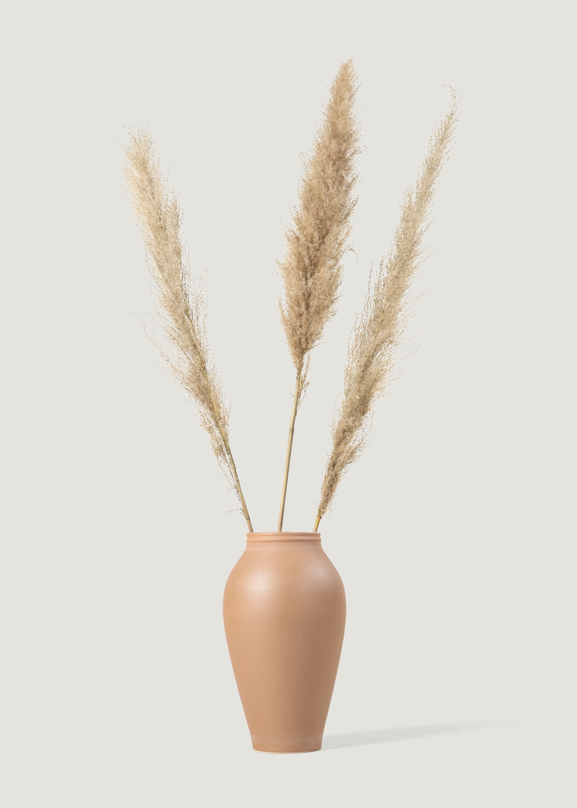 Natural Dried Grass Bundle for Home Decor