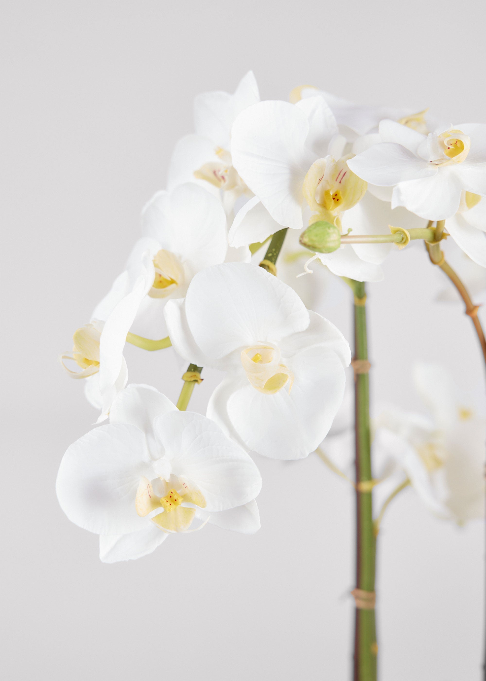 White Artificial Orchid Arrangement for Table Centerpiece