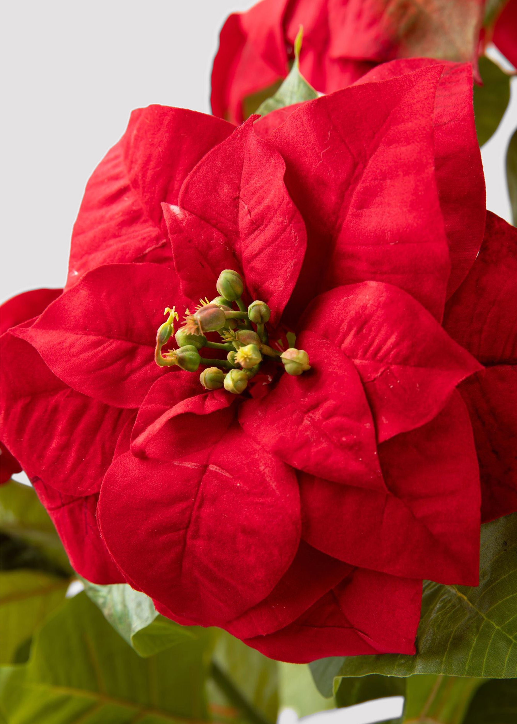 Green Artificial Poinsettia Arrangement for Table Centerpiece