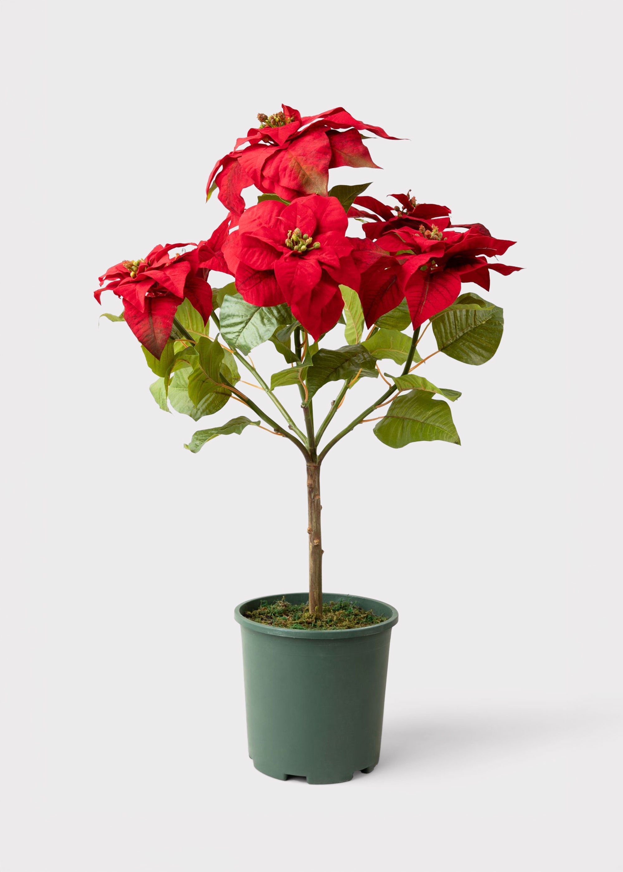 Green Artificial Poinsettia Arrangement for Vase Styling