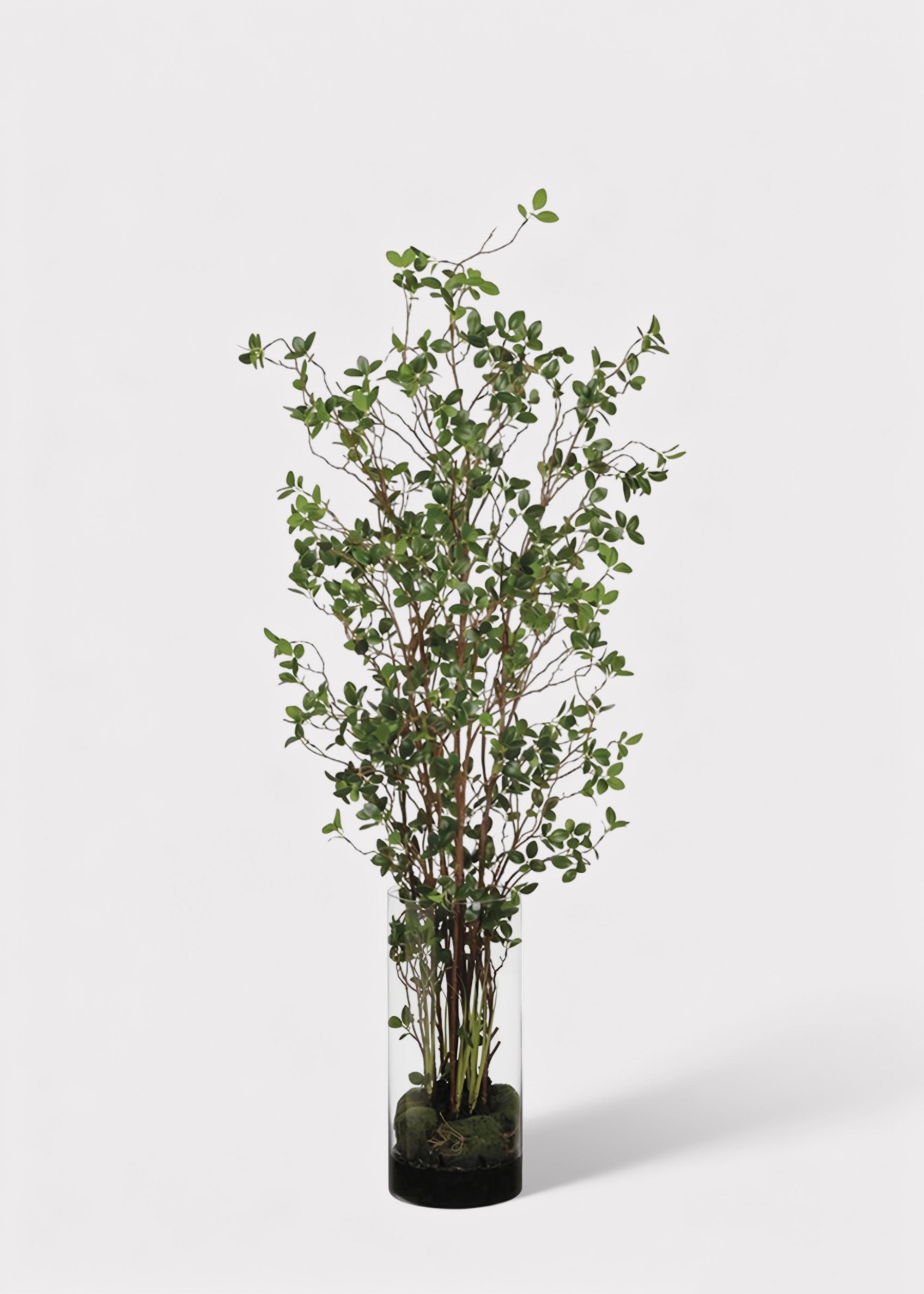Clear Tree for Vase Styling