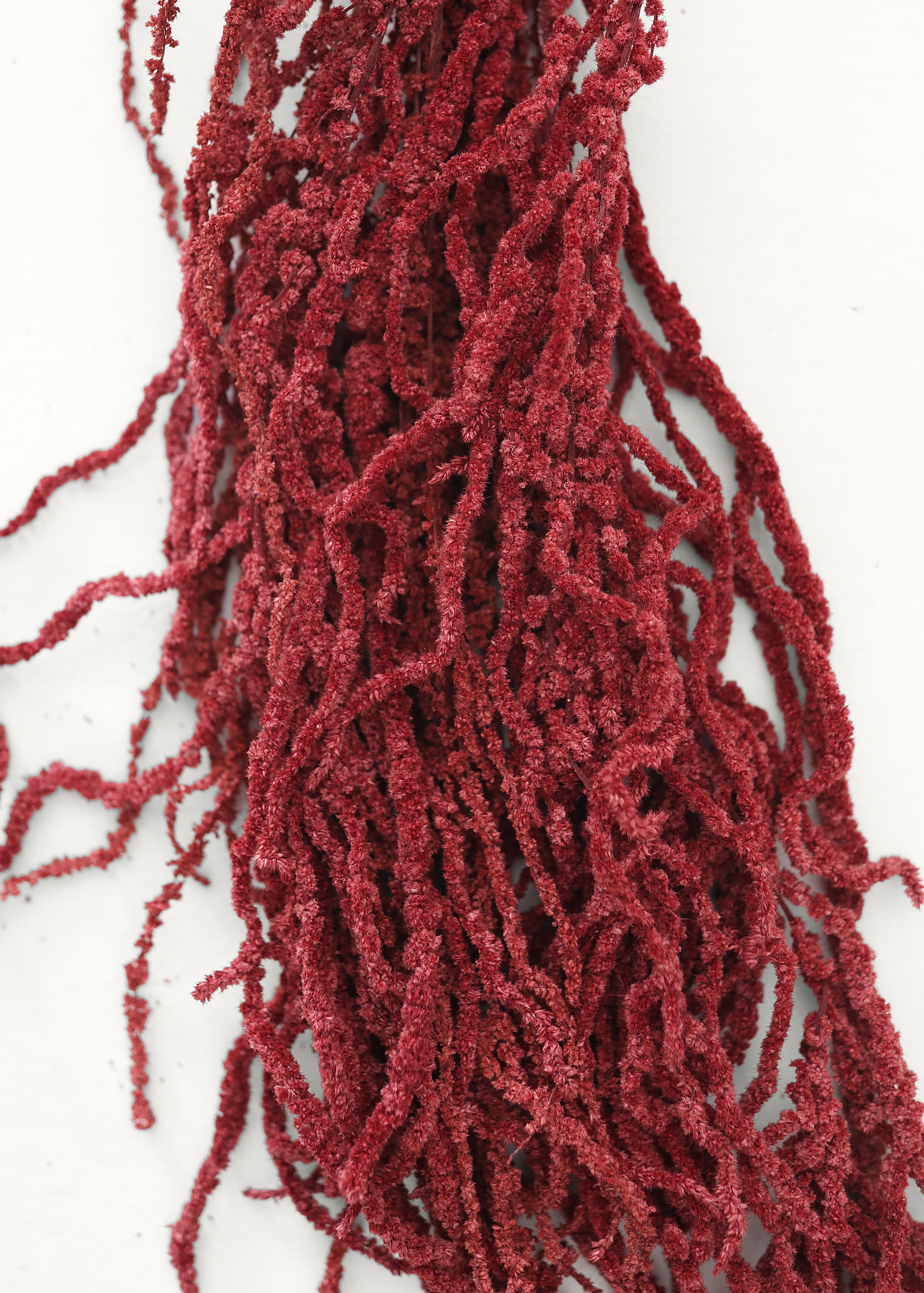 Burgundy Dried Hanging Amaranthus for Table Centerpiece