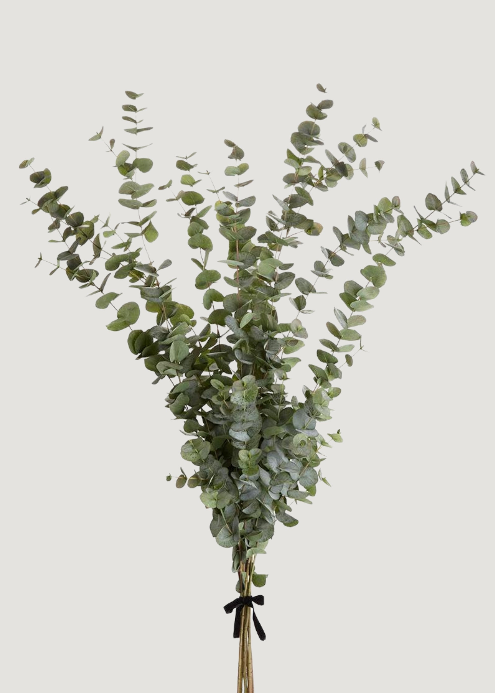 Green Artificial Eucalyptus Bundle for Vase Styling