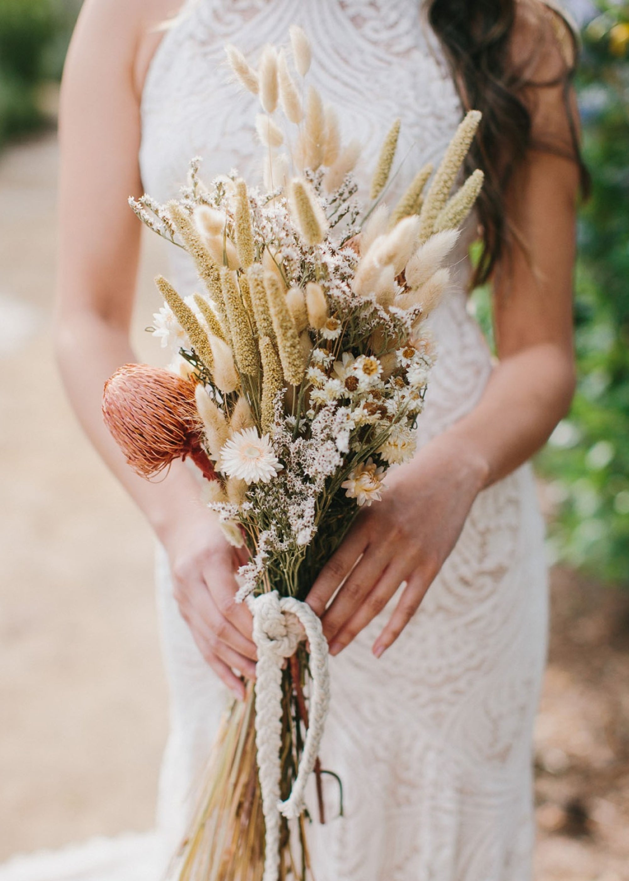White Dried Natural White Ammobium 4 Oz Bunch for Table Centerpiece