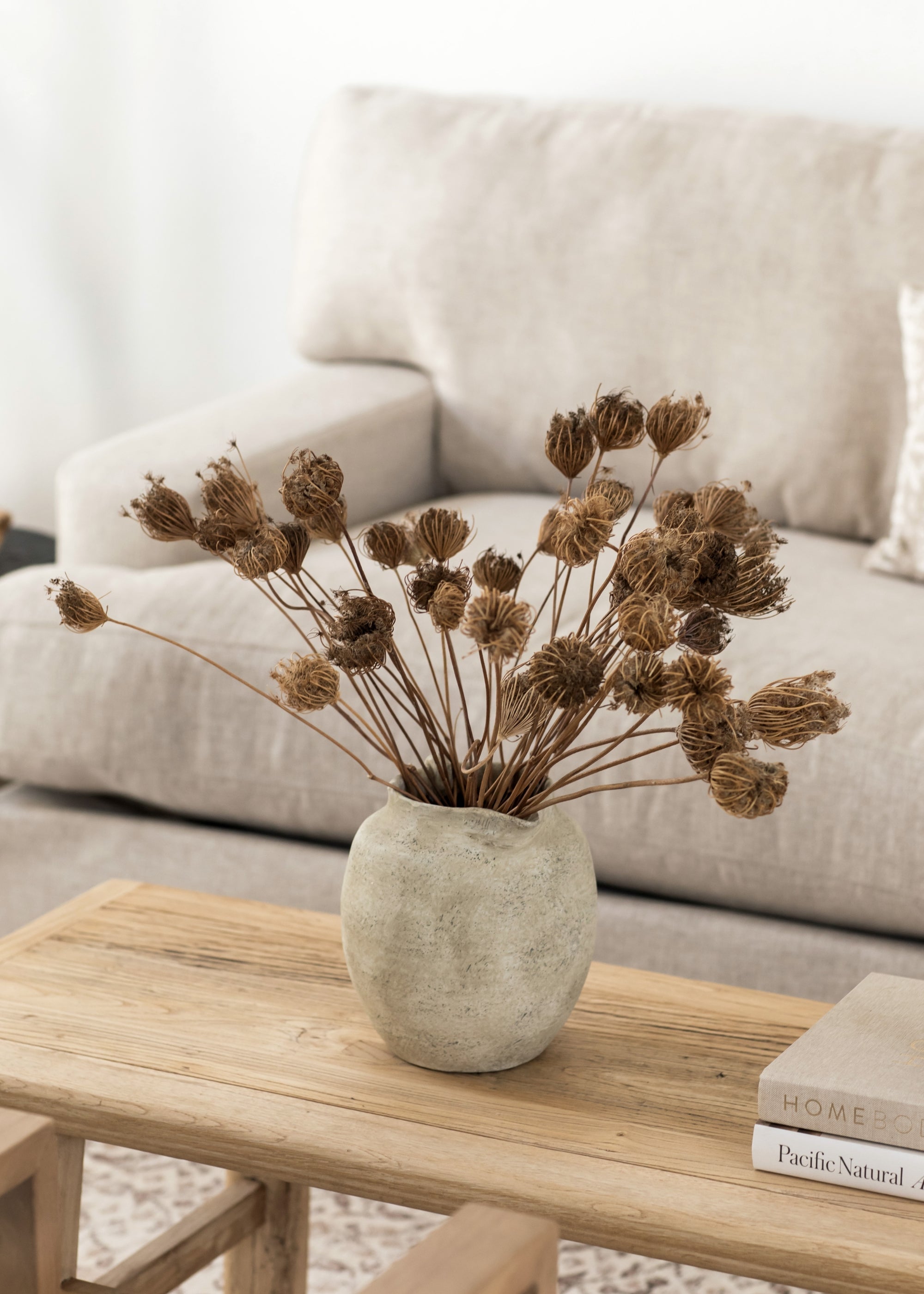 Natural Dried Queen Anne's Lace Bundle for Home Decor