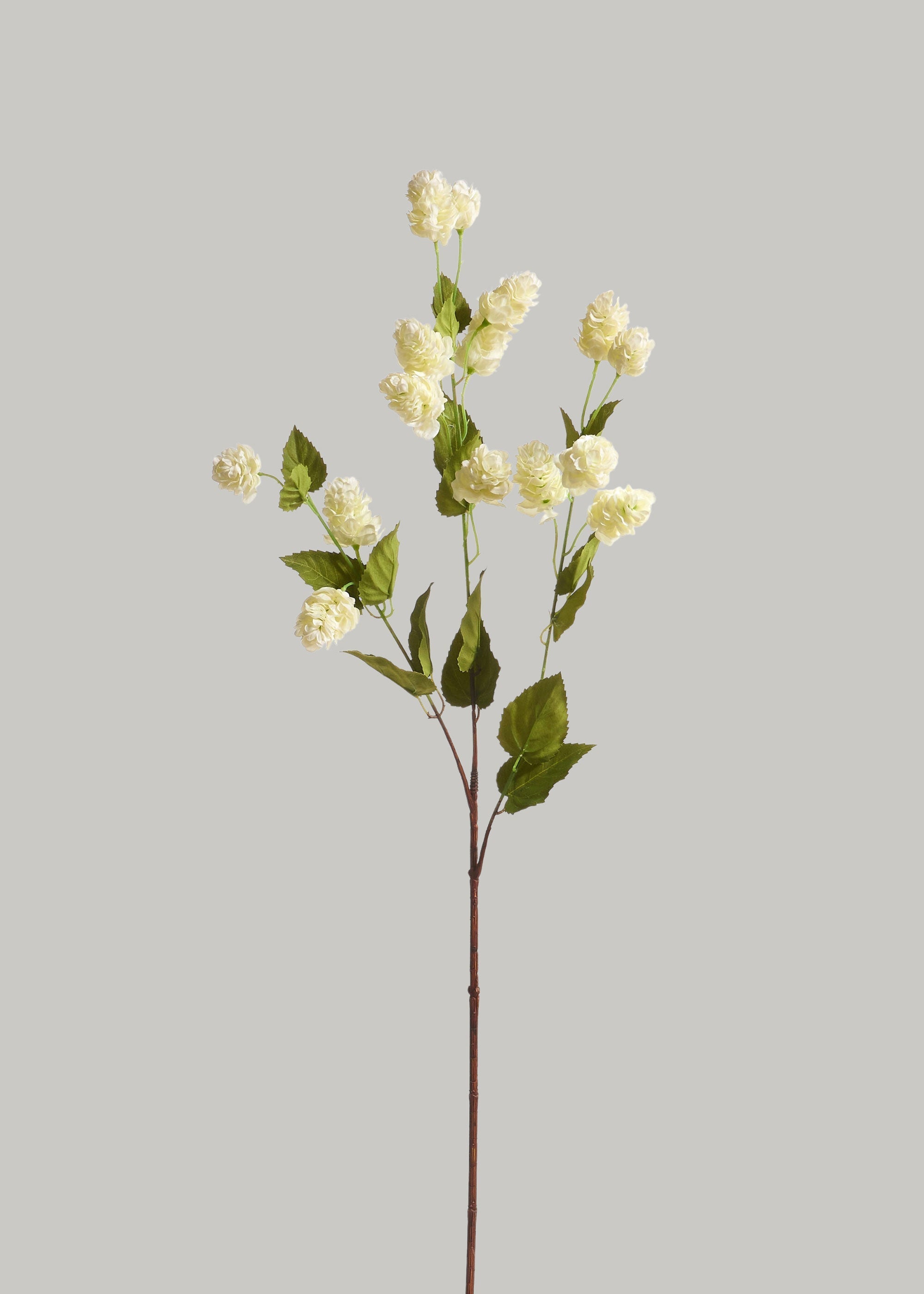 Cream Green Artificial Tall Hops Branch for Vase Styling
