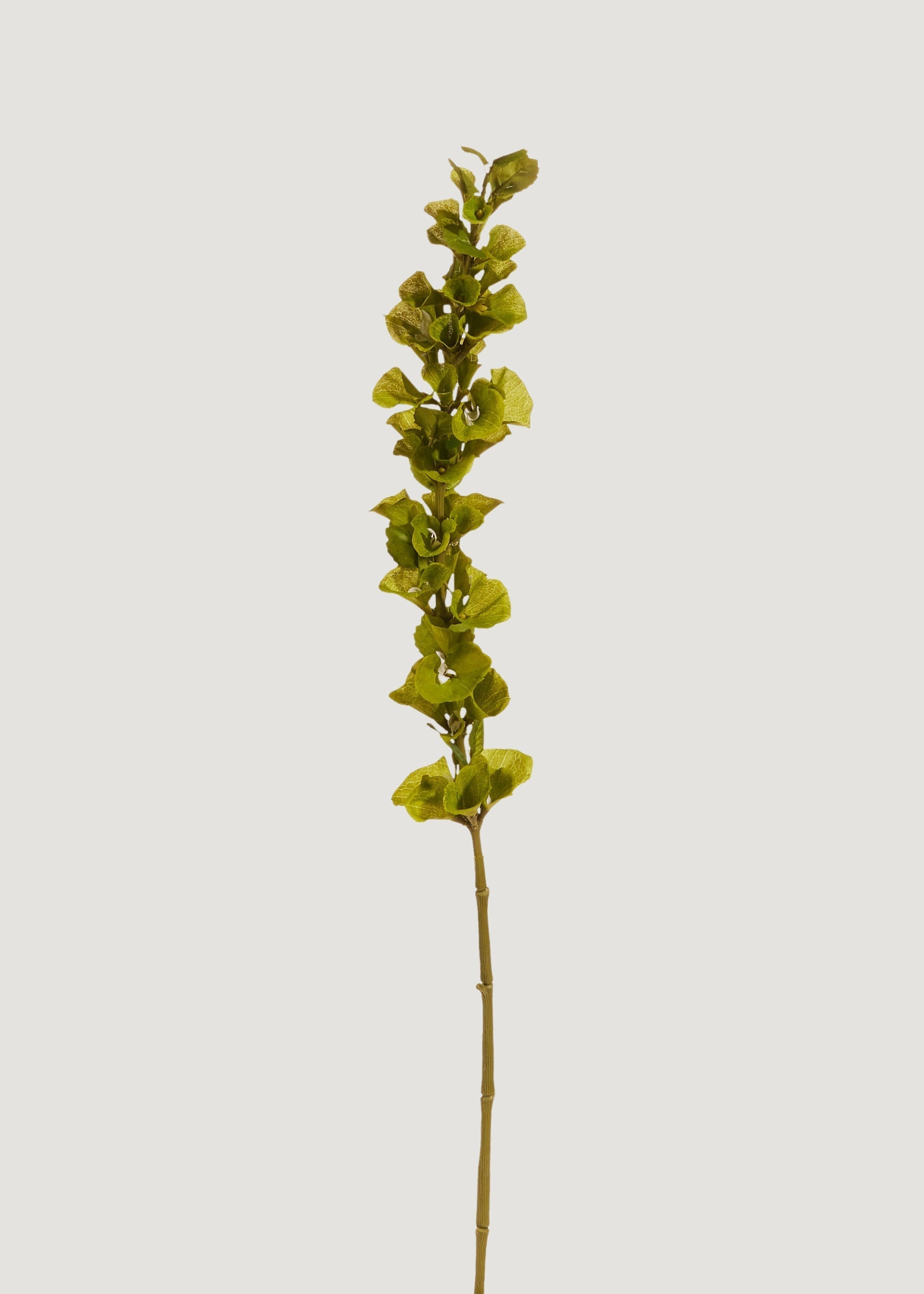 Green Artificial Bells Of Ireland Stem for Vase Styling