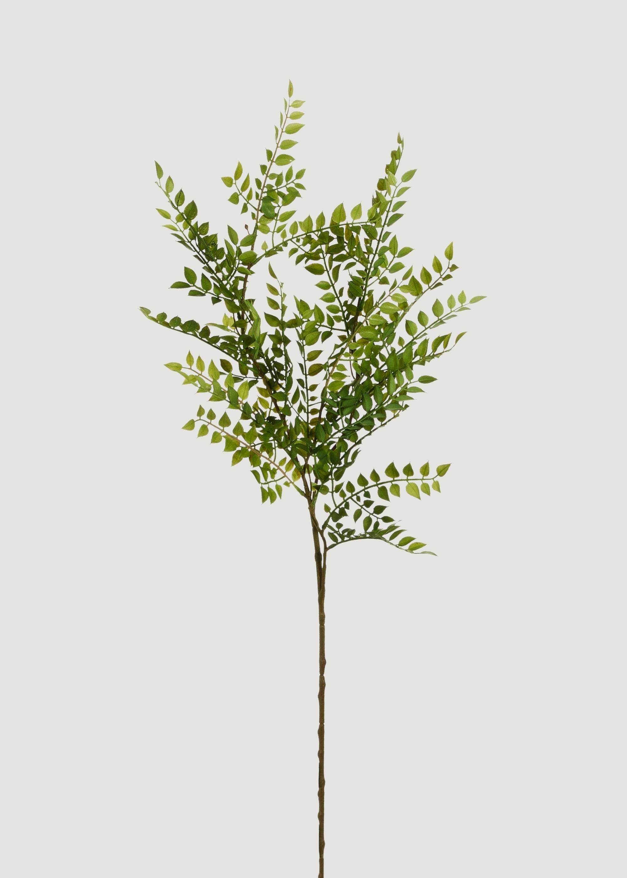 Green Artificial Ruscus Branch for Vase Styling