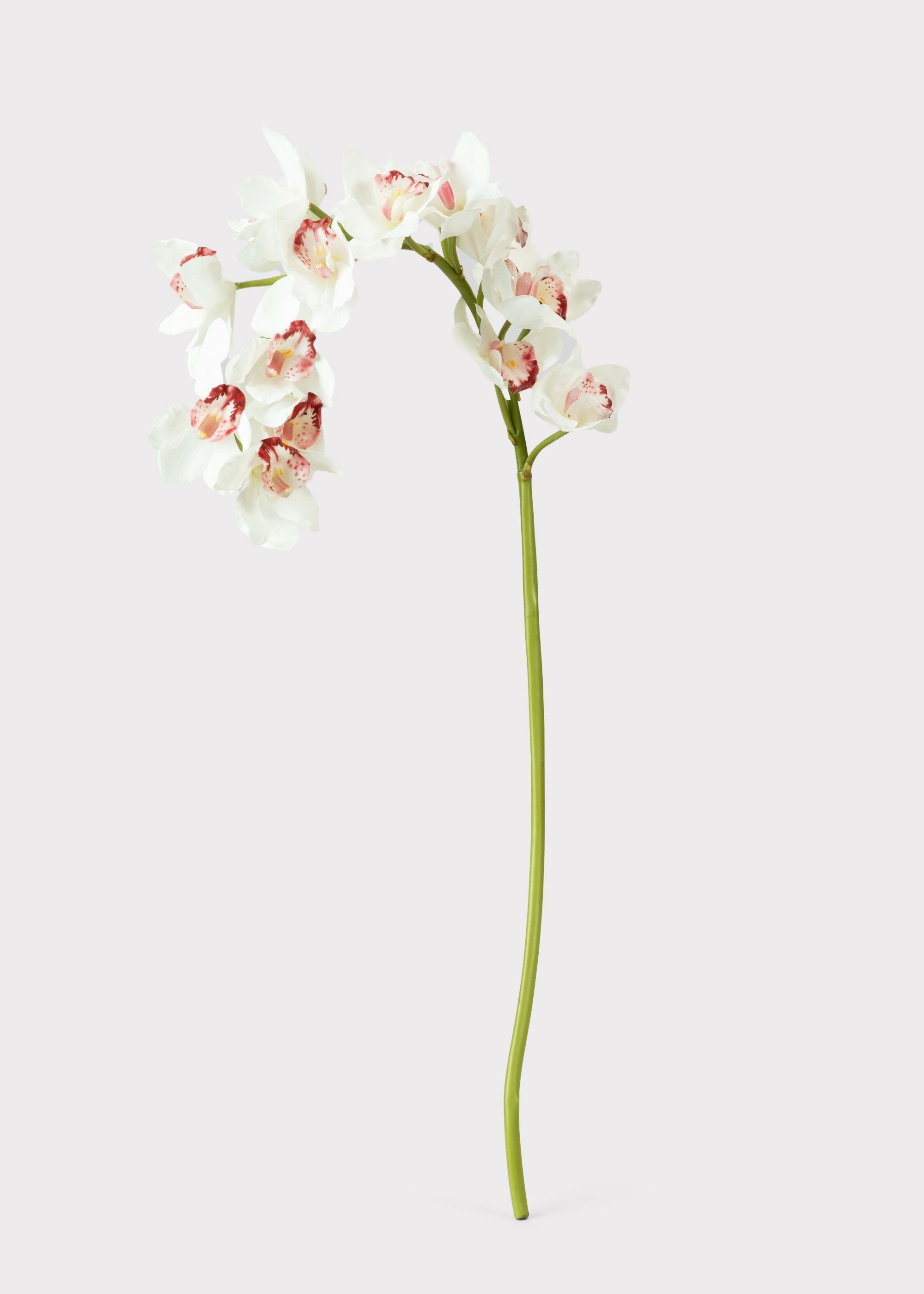 White Natural Touch Artificial Orchid Stem for Table Centerpiece