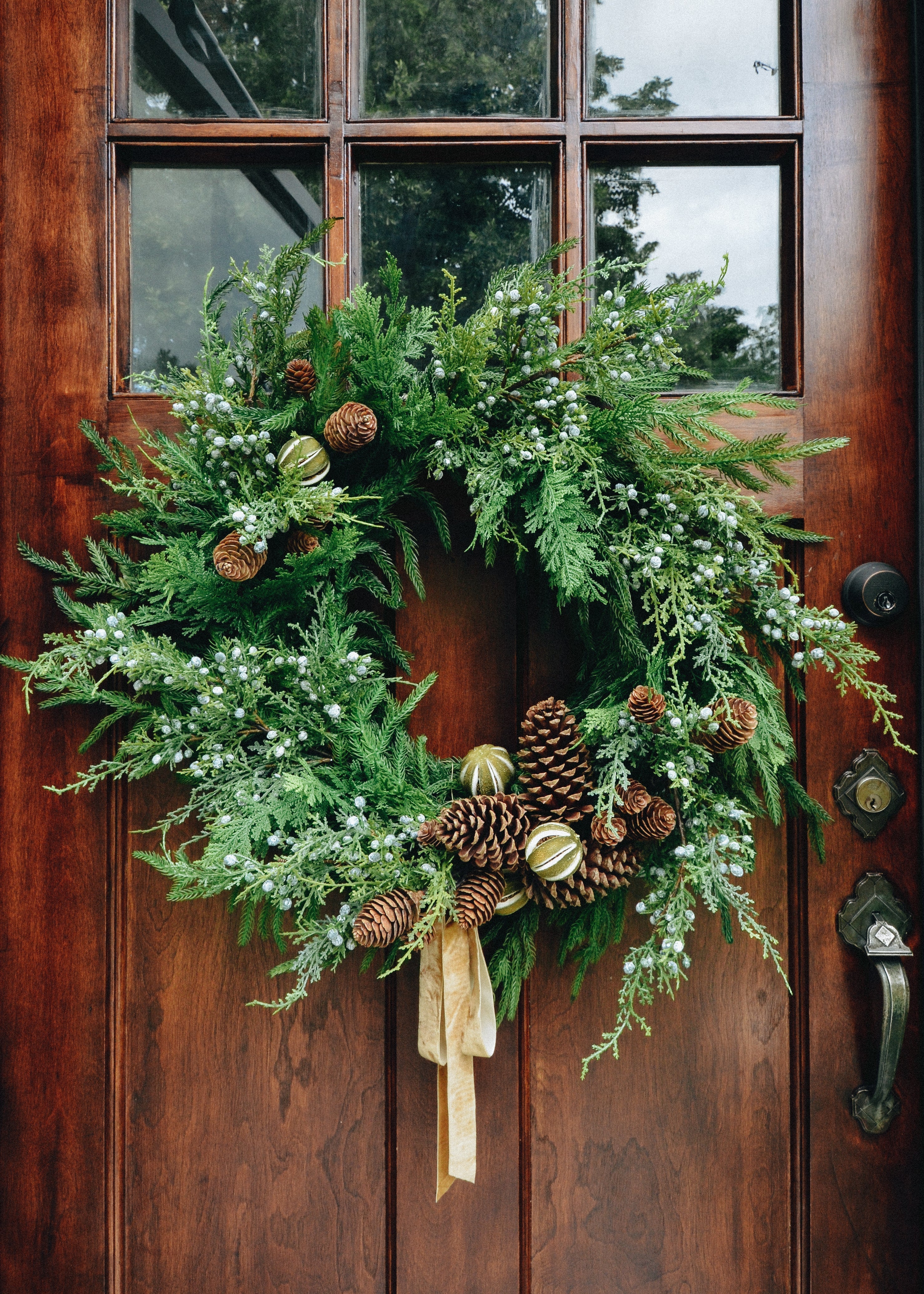 Natural Dried Pine Bundle for Home Decor