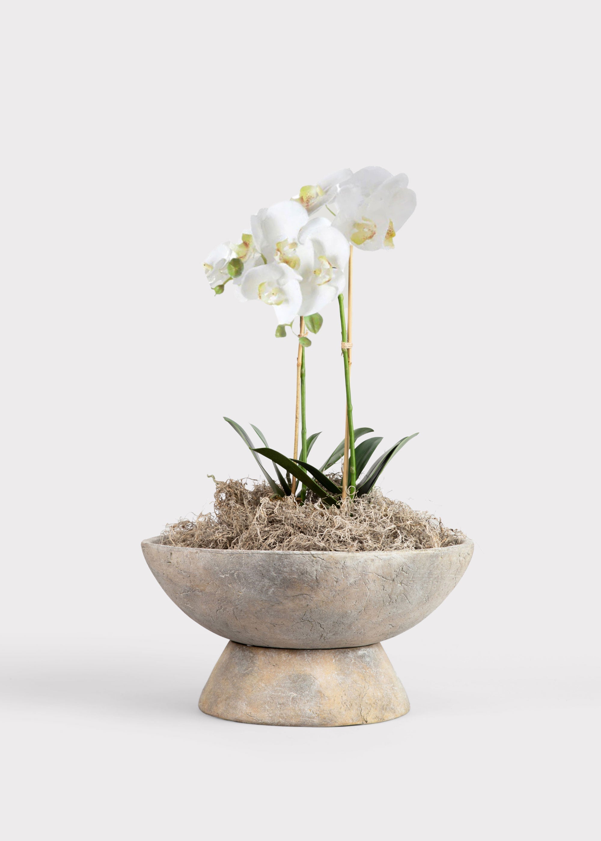 White Artificial Orchid Arrangement for Home Decor