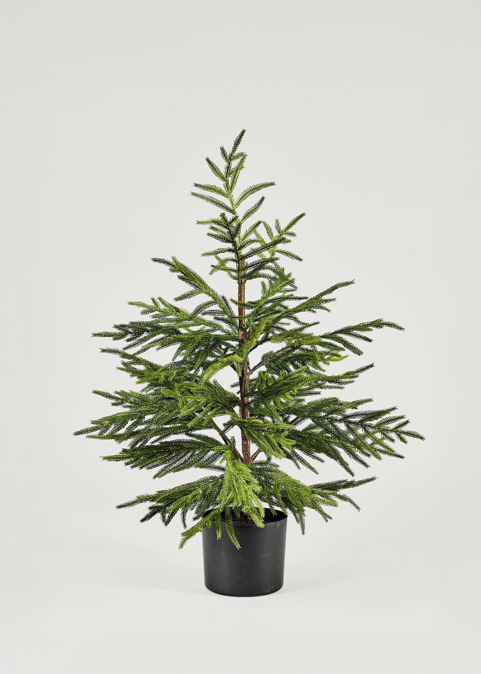 Real touch artificial Norfolk pine tree in pot for holiday decor