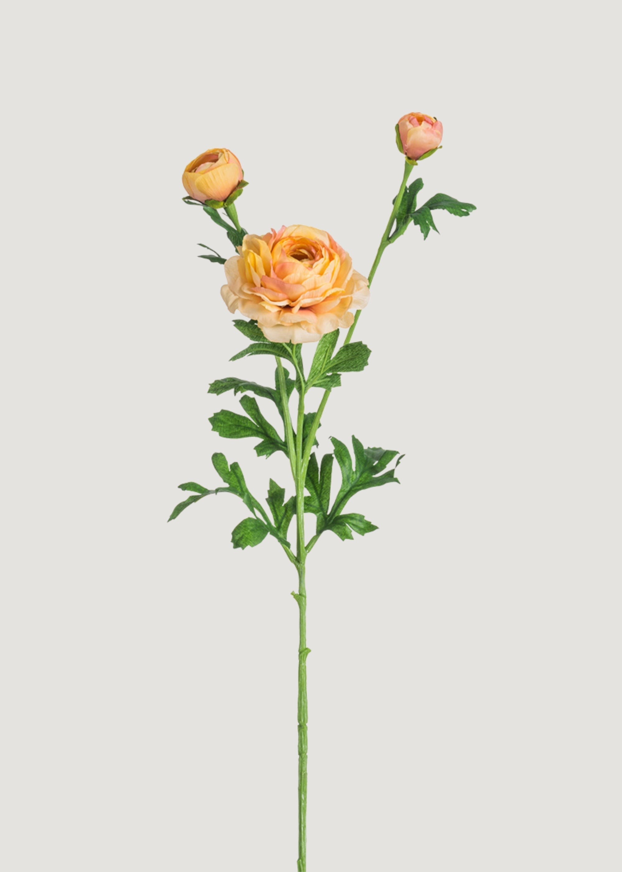 Pink Artificial Ranunculus Stem for Vase Styling