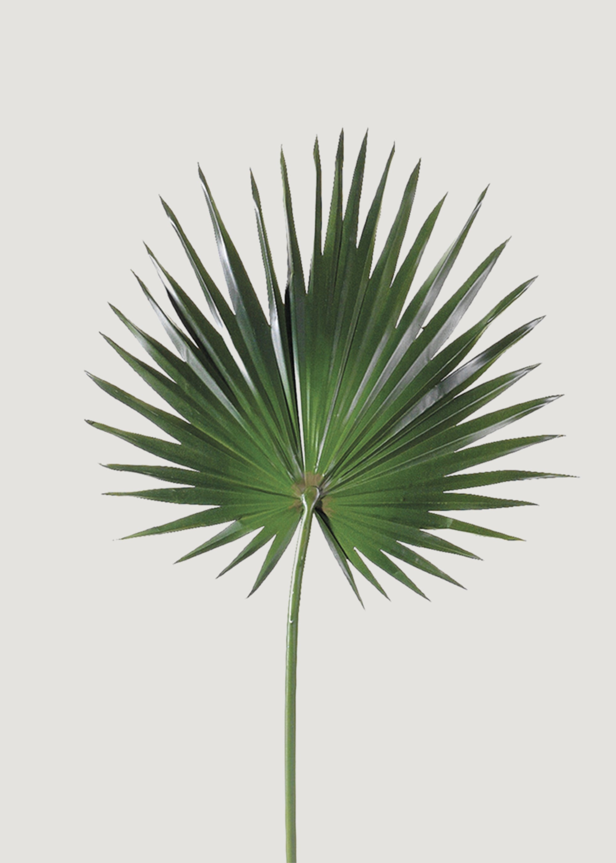 Green Artificial Palm Stem for Vase Styling