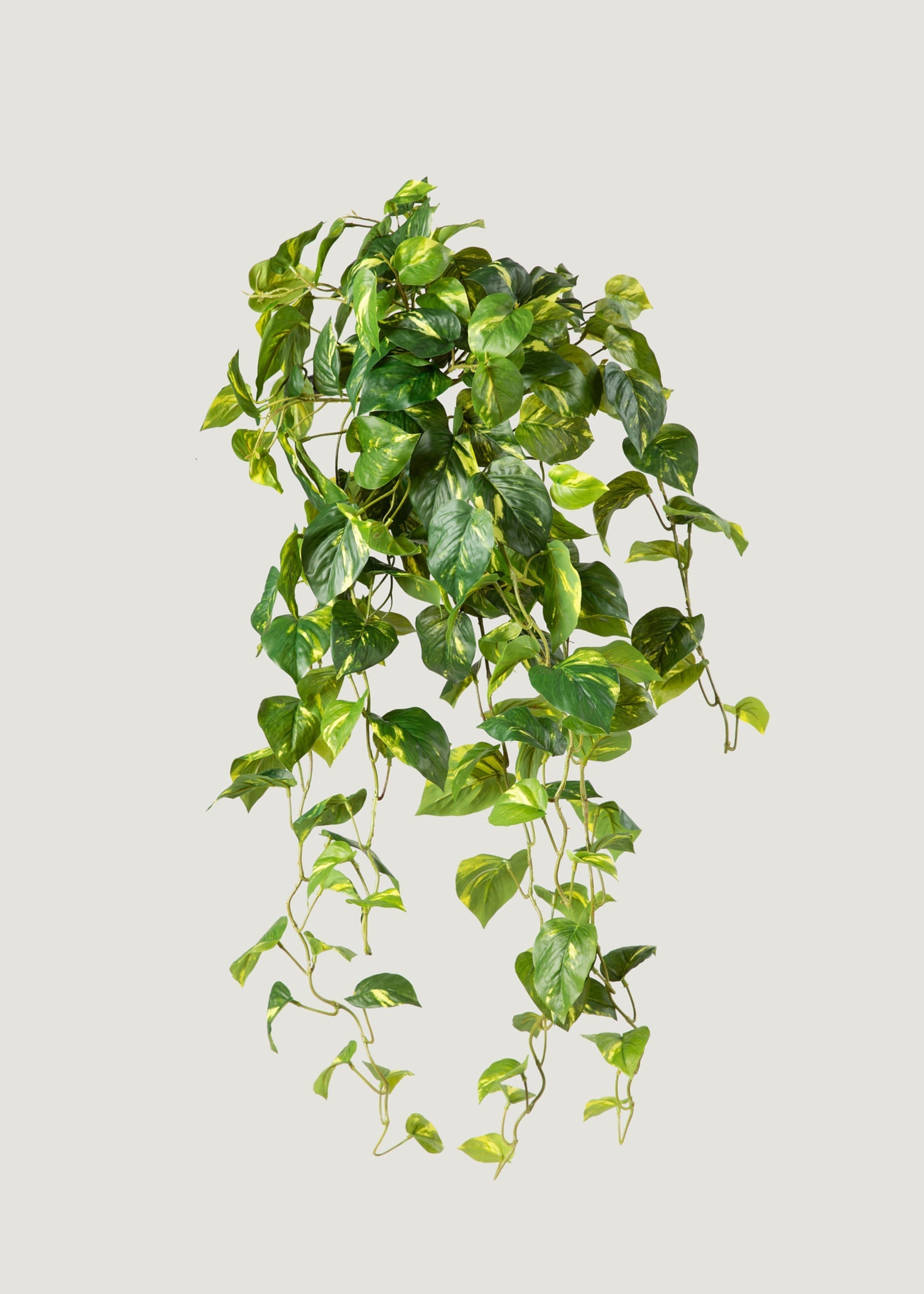 Green Artificial Deluxe Real Touch Pothos Hanging for Home Decor