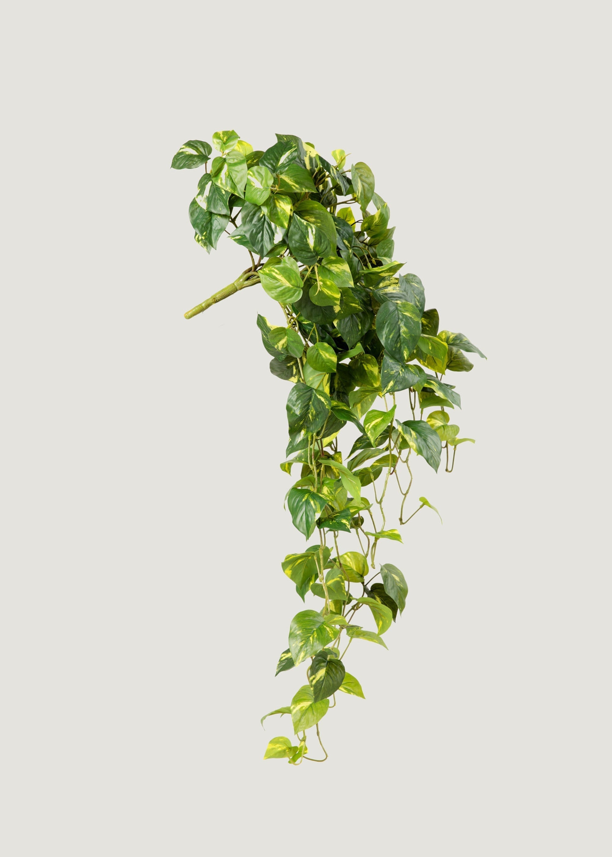 Green Artificial Deluxe Real Touch Pothos Hanging for Entryway Arrangement