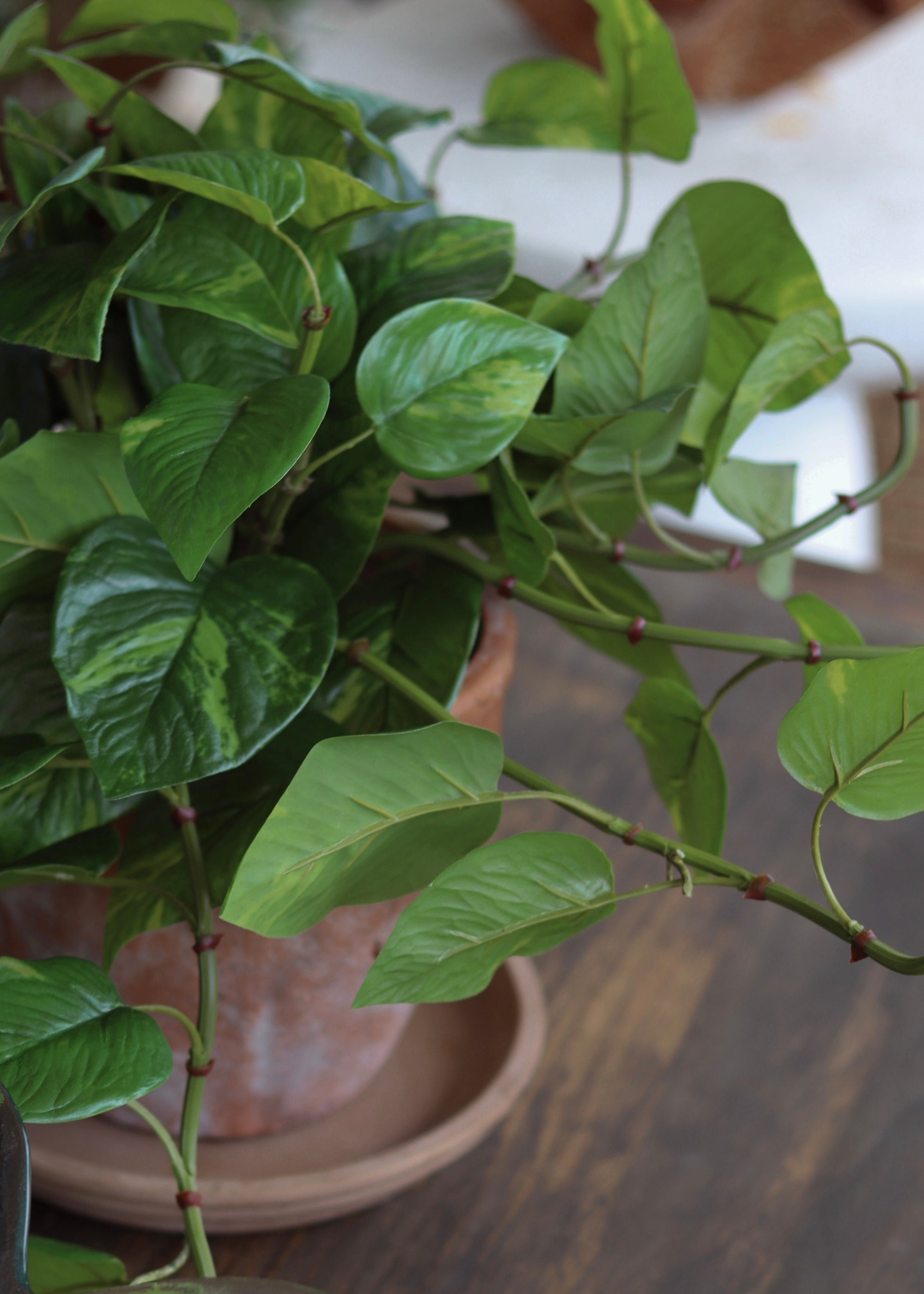 Green Artificial Outdoor Pothos Real Touch Potted for Entryway Arrangement