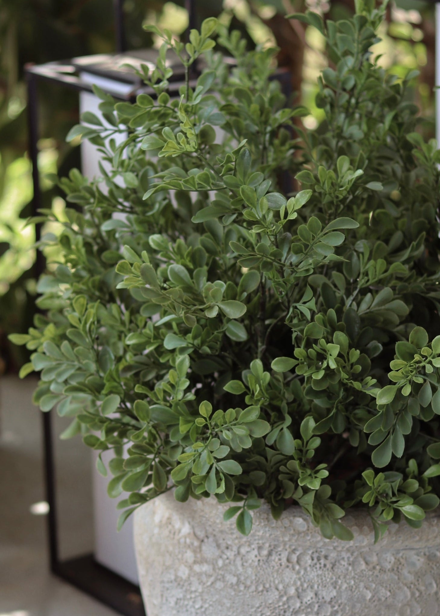 Green Artificial Plants Boxwood Bush for Home Decor