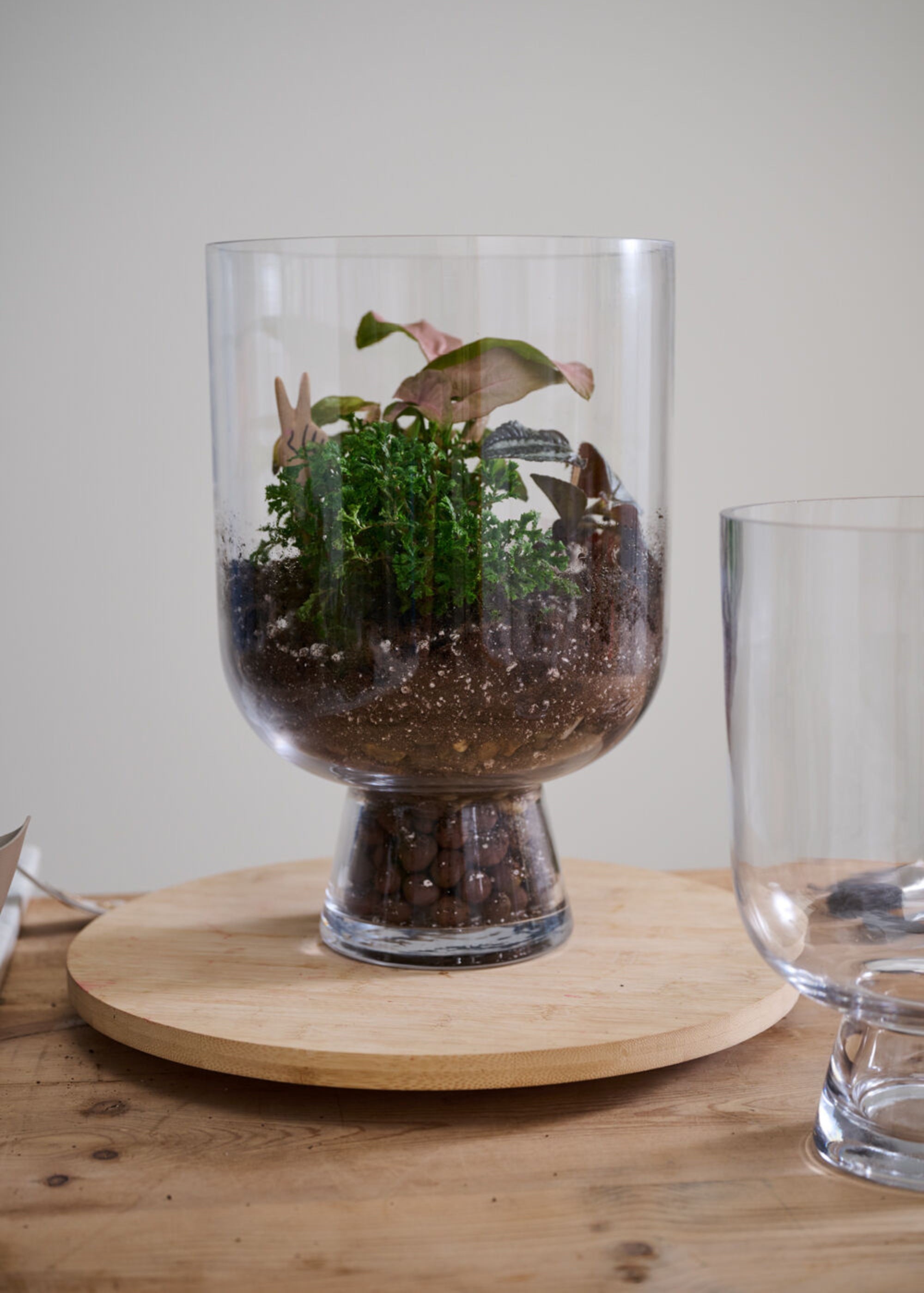 Clear Glass Reservoir Terrarium Footed Vase for Vase Styling