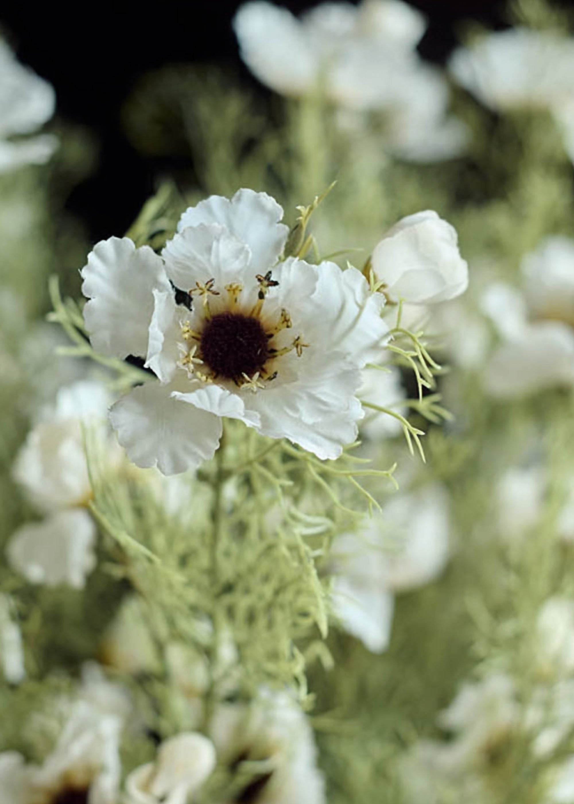 White artificial cosmos stem with soft greenery for home decor