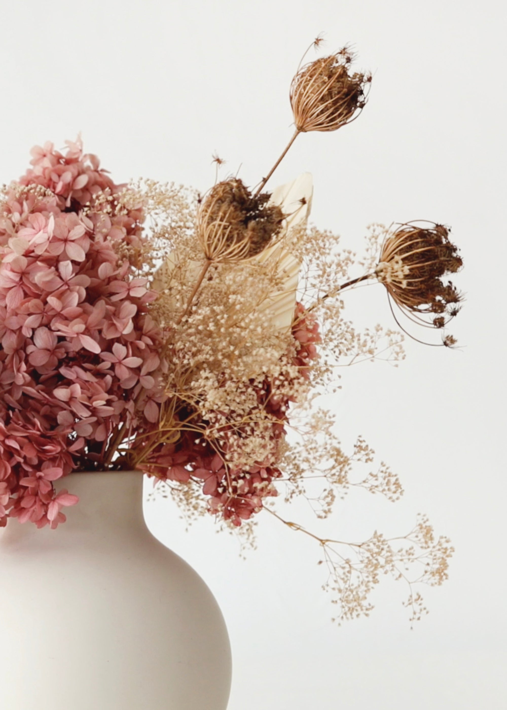 Natural Dried Queen Anne's Lace Bundle for Entryway Arrangement