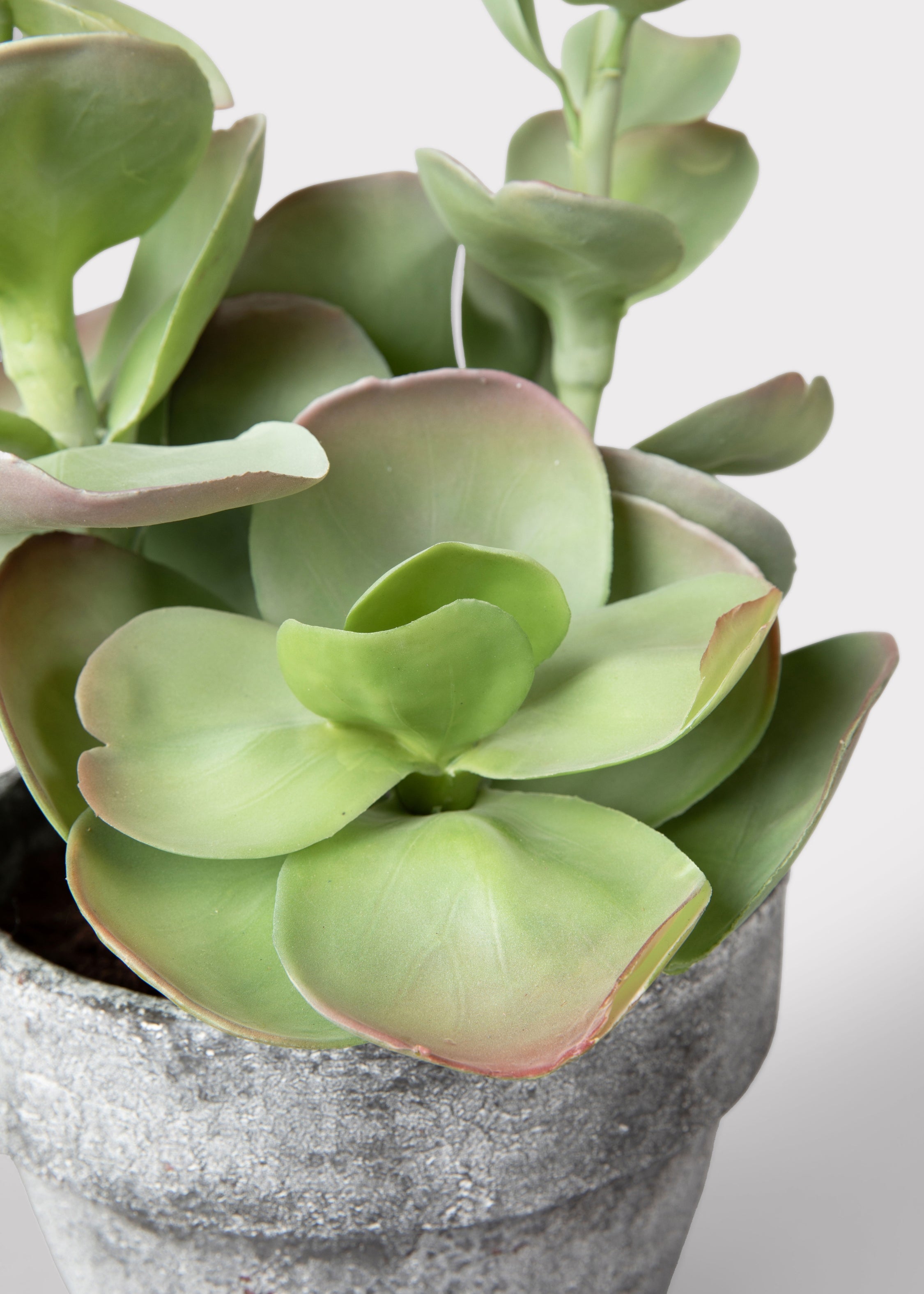 Green Artificial Succulent Potted Plant for Home Decor
