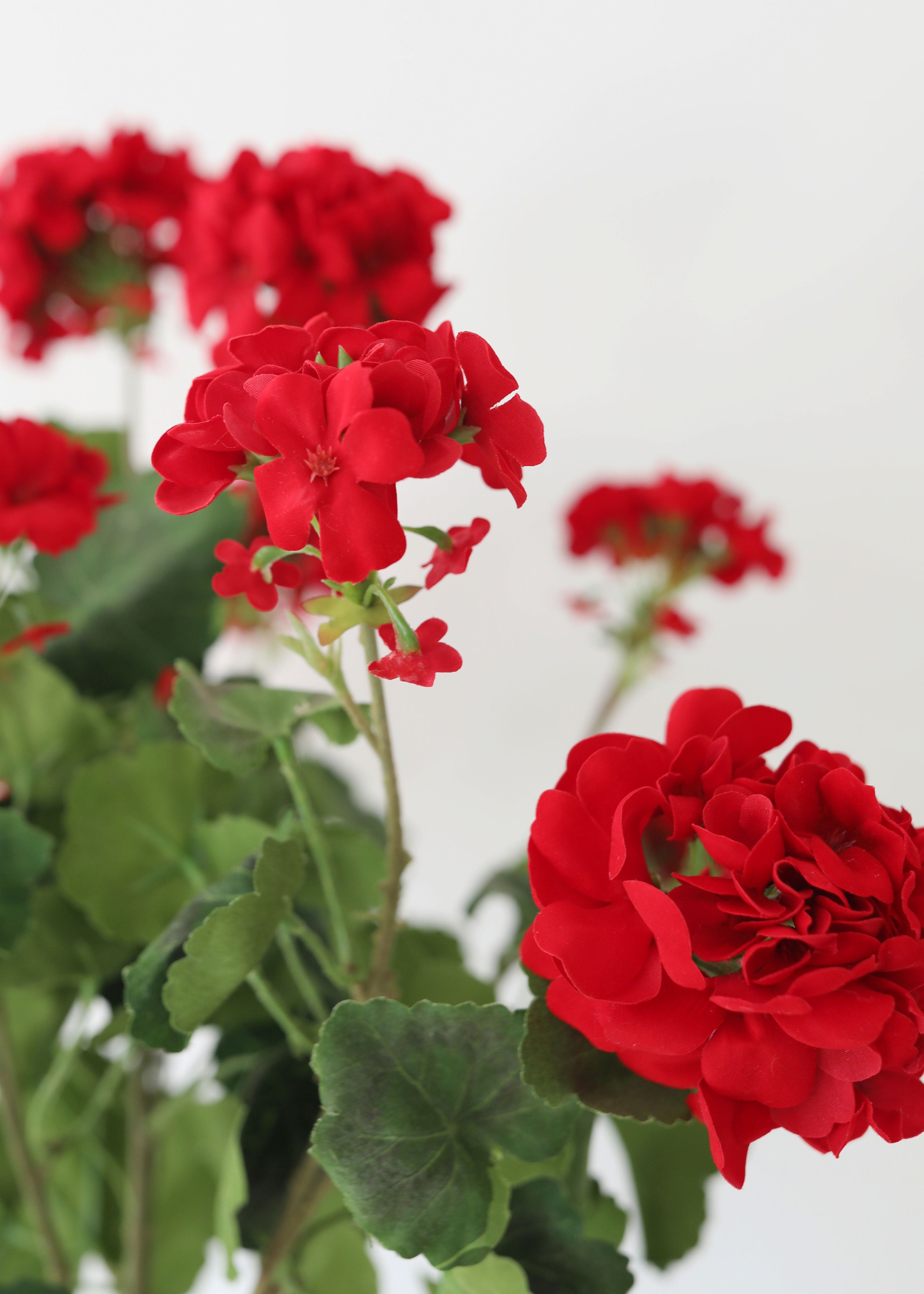 Red Artificial Geranium Bush for Wedding Decor