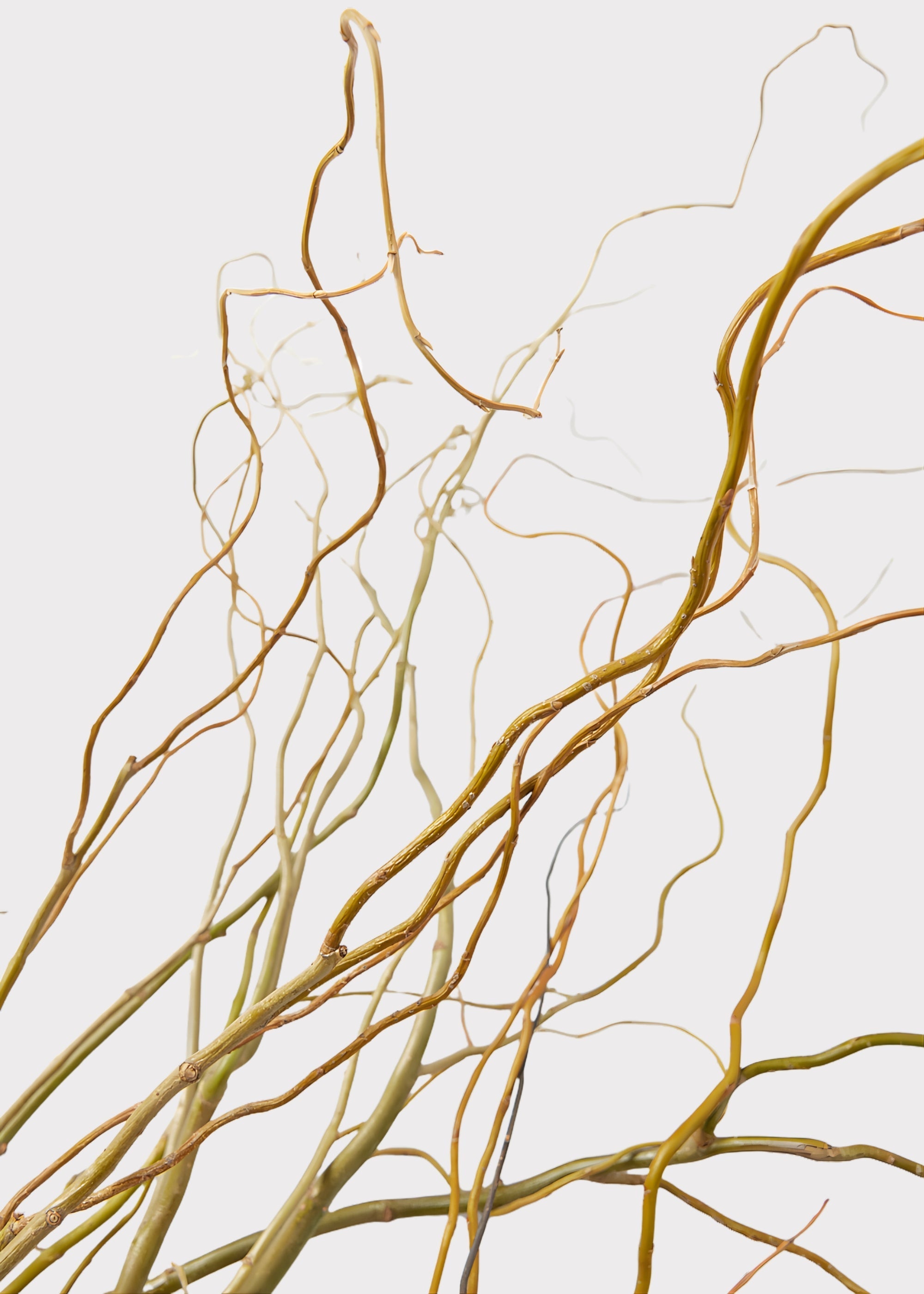 Green Artificial Willow Branch for Table Centerpiece