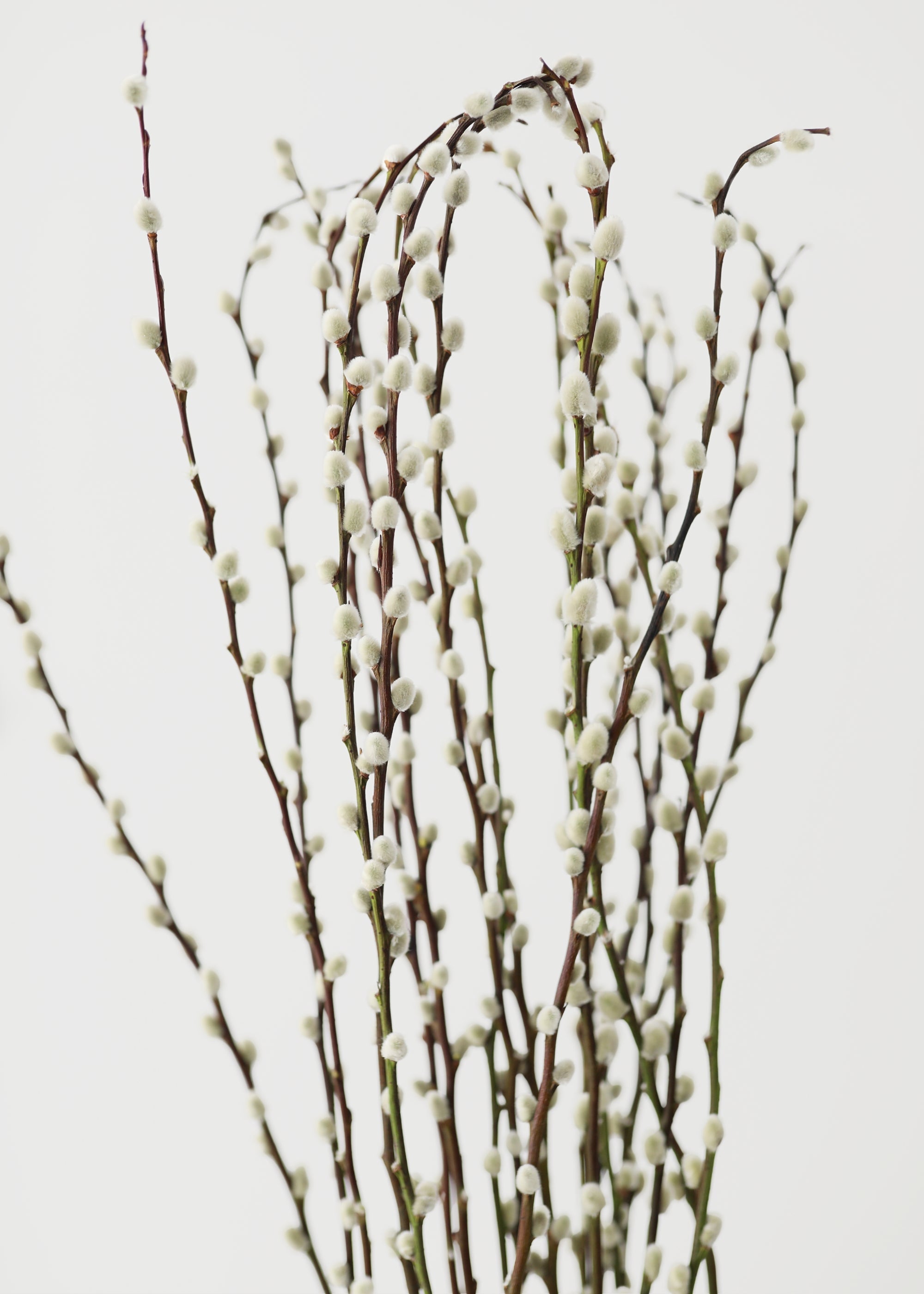 Green Artificial Willow Branch for Home Decor