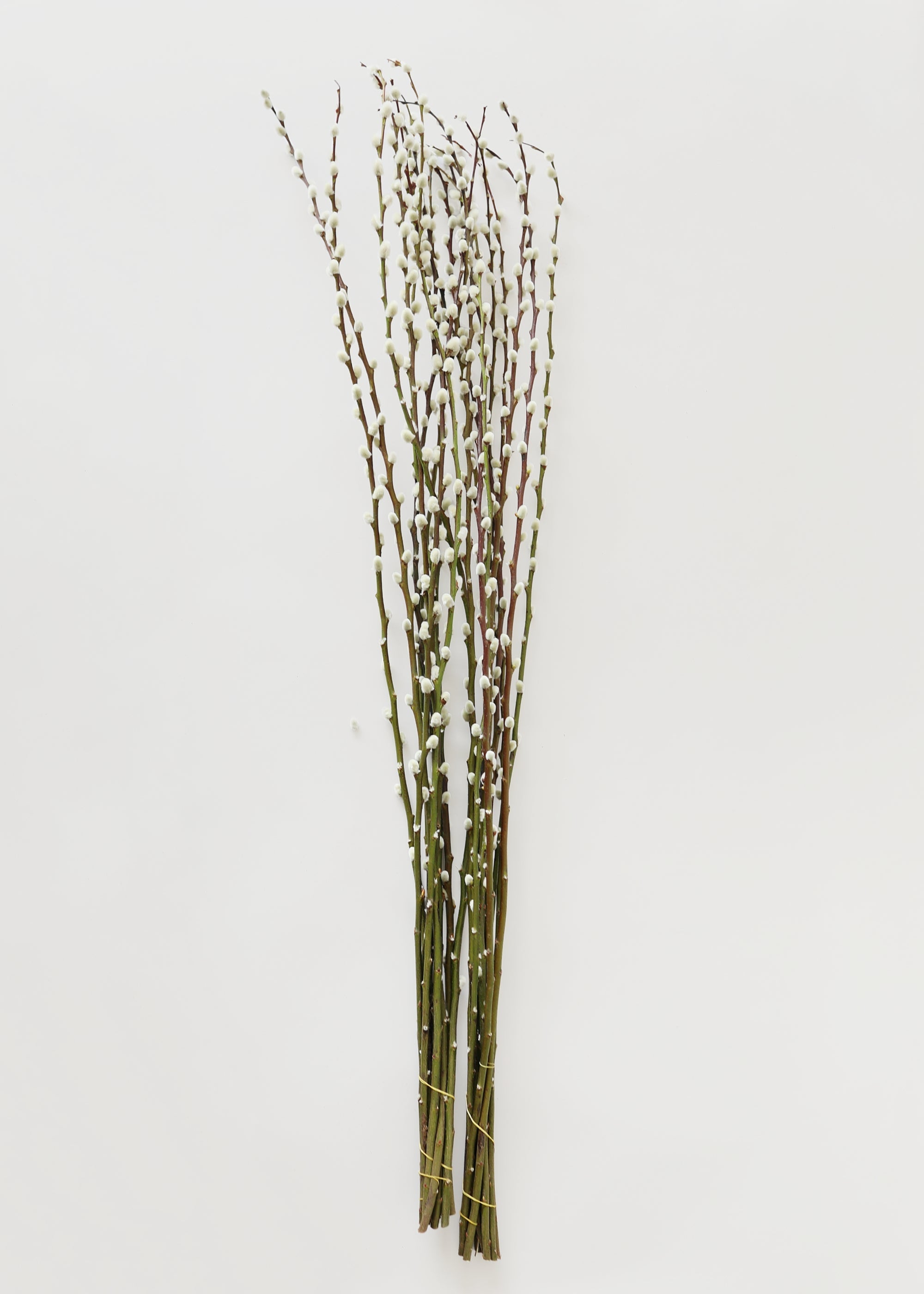 Green Artificial Willow Branch for Table Centerpiece