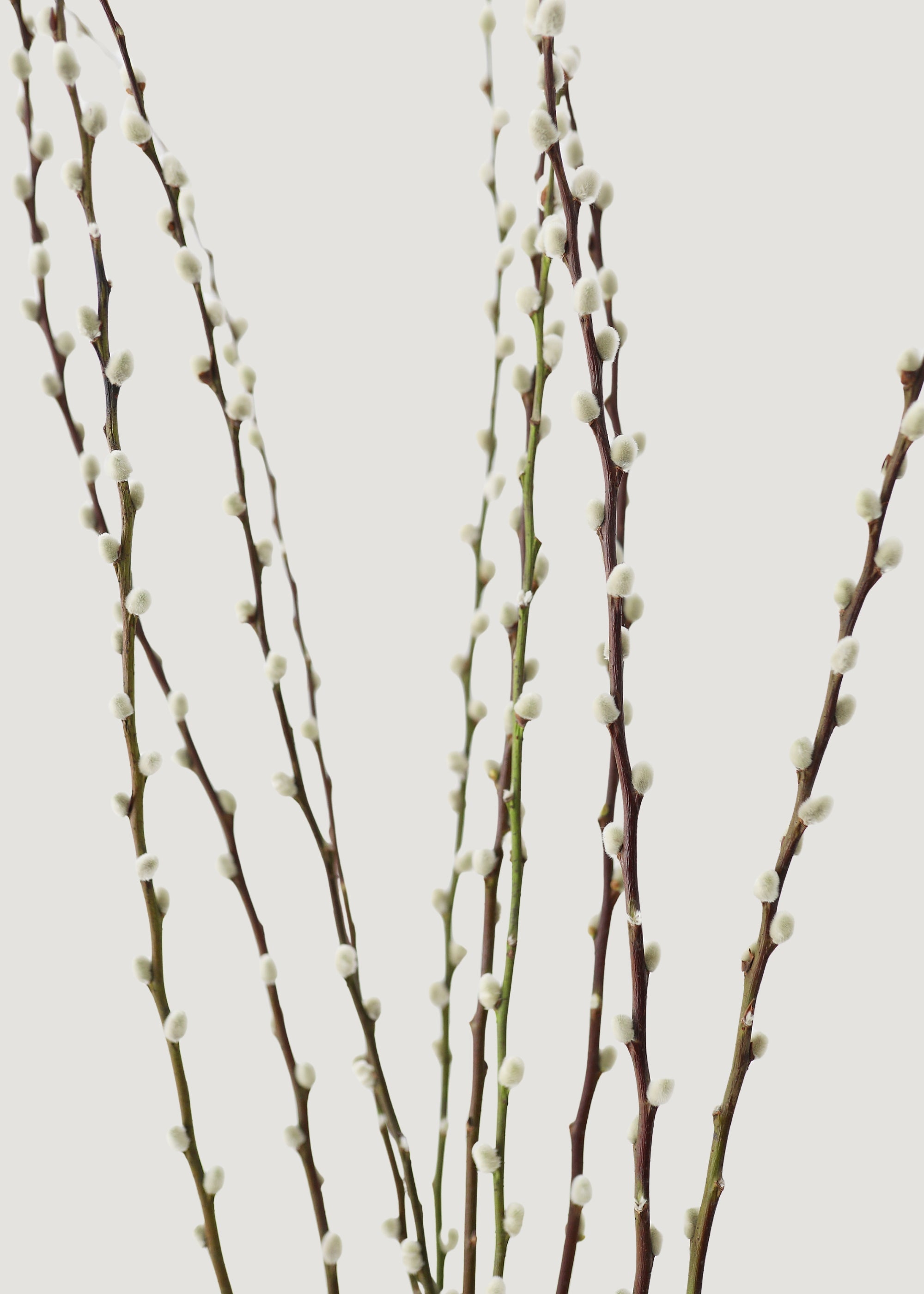 Green Artificial Willow Branch for Entryway Arrangement