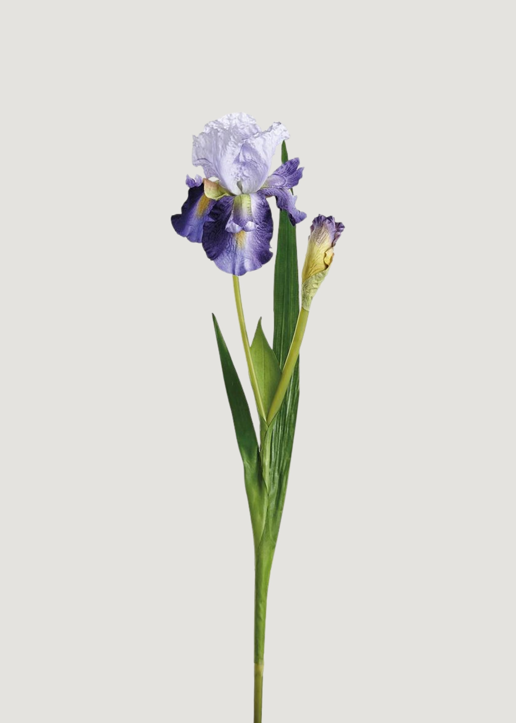 Purple and Lavender Artificial Iris Stem for Vase Styling