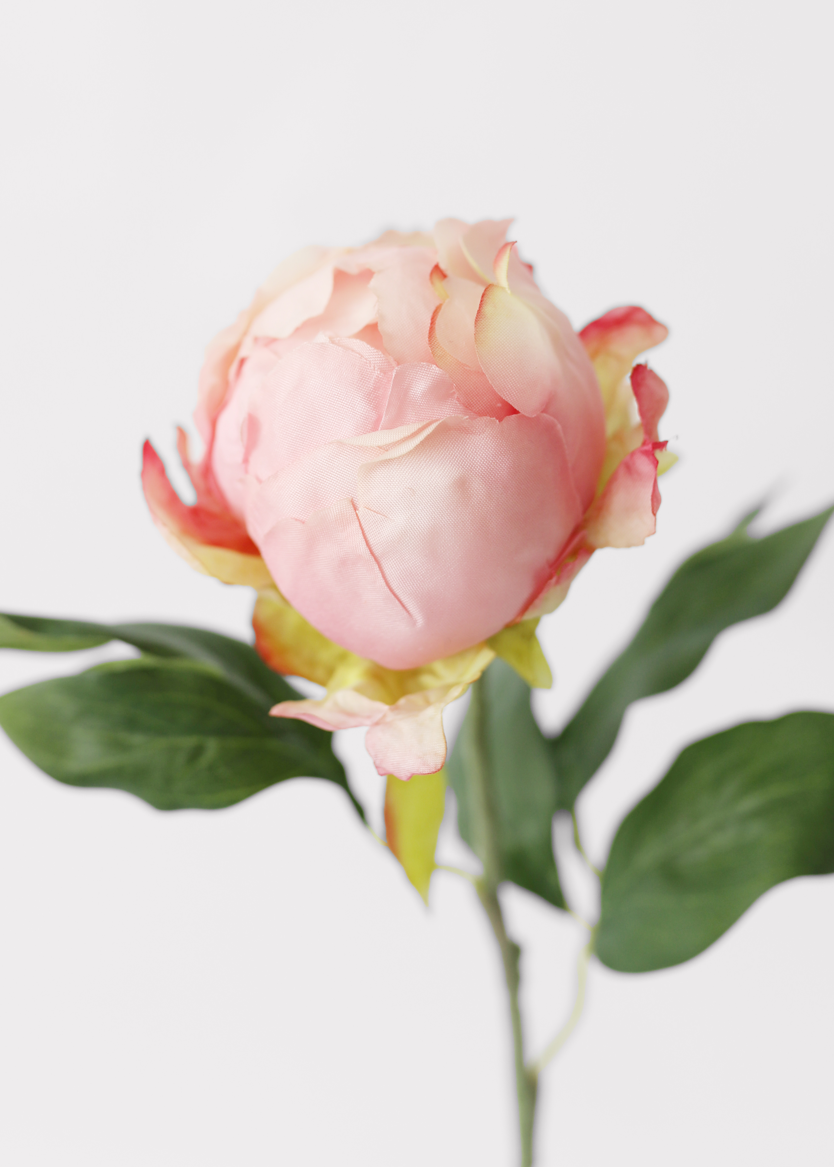 Pink Artificial Peony Stem for Table Centerpiece