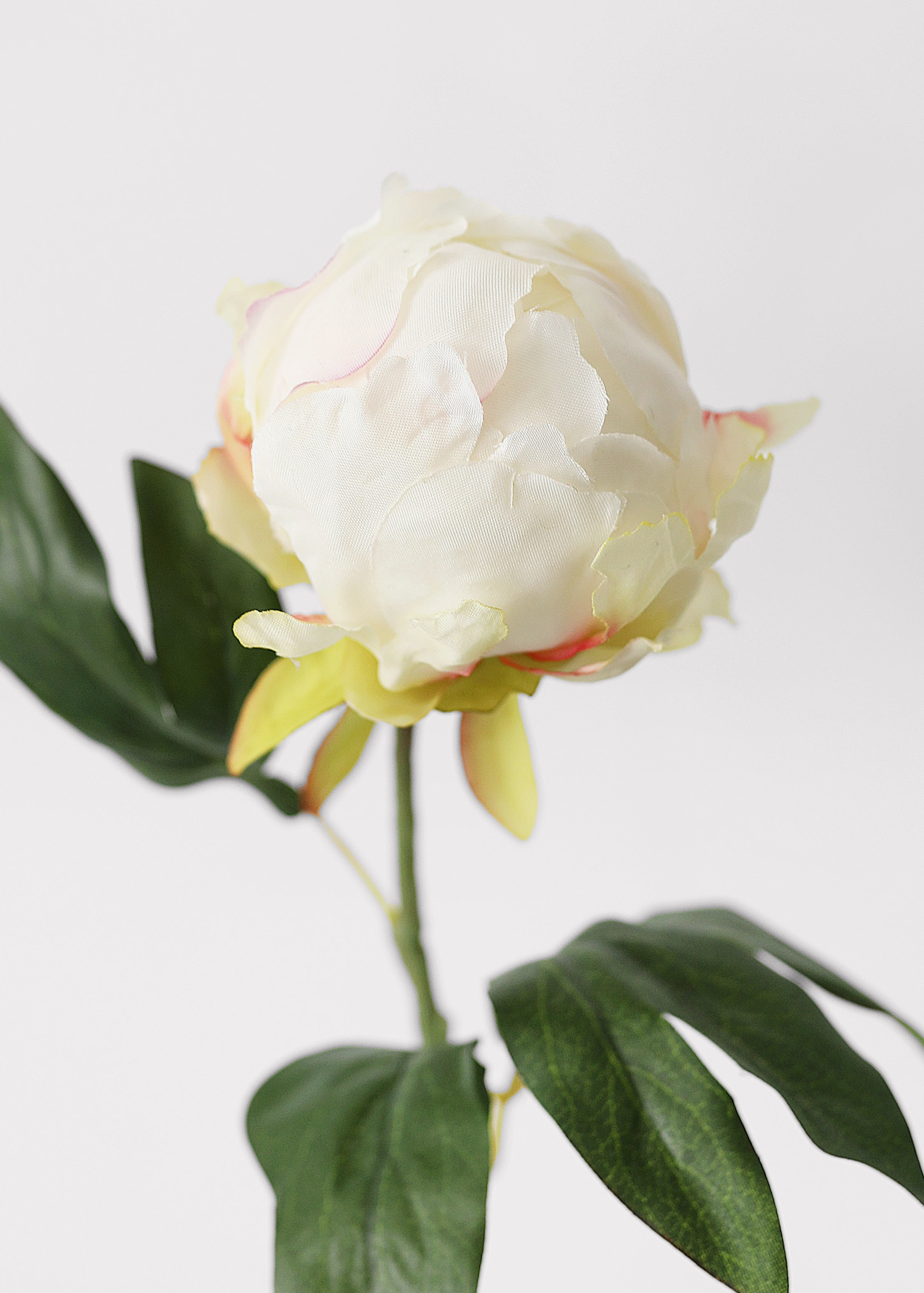 Cream Artificial Peony Stem for Wedding Decor